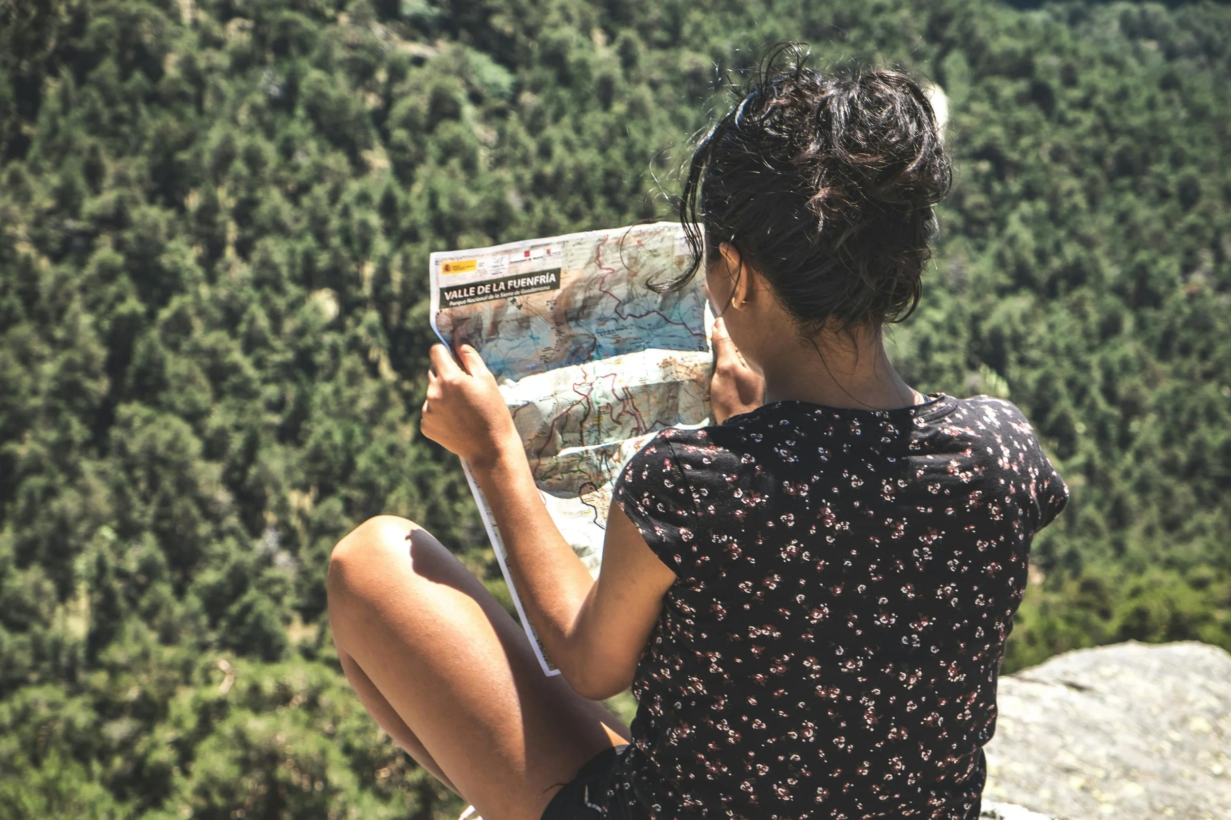 Woman from the back holding a map and looking out over a forest | midlife coaching Sydney
