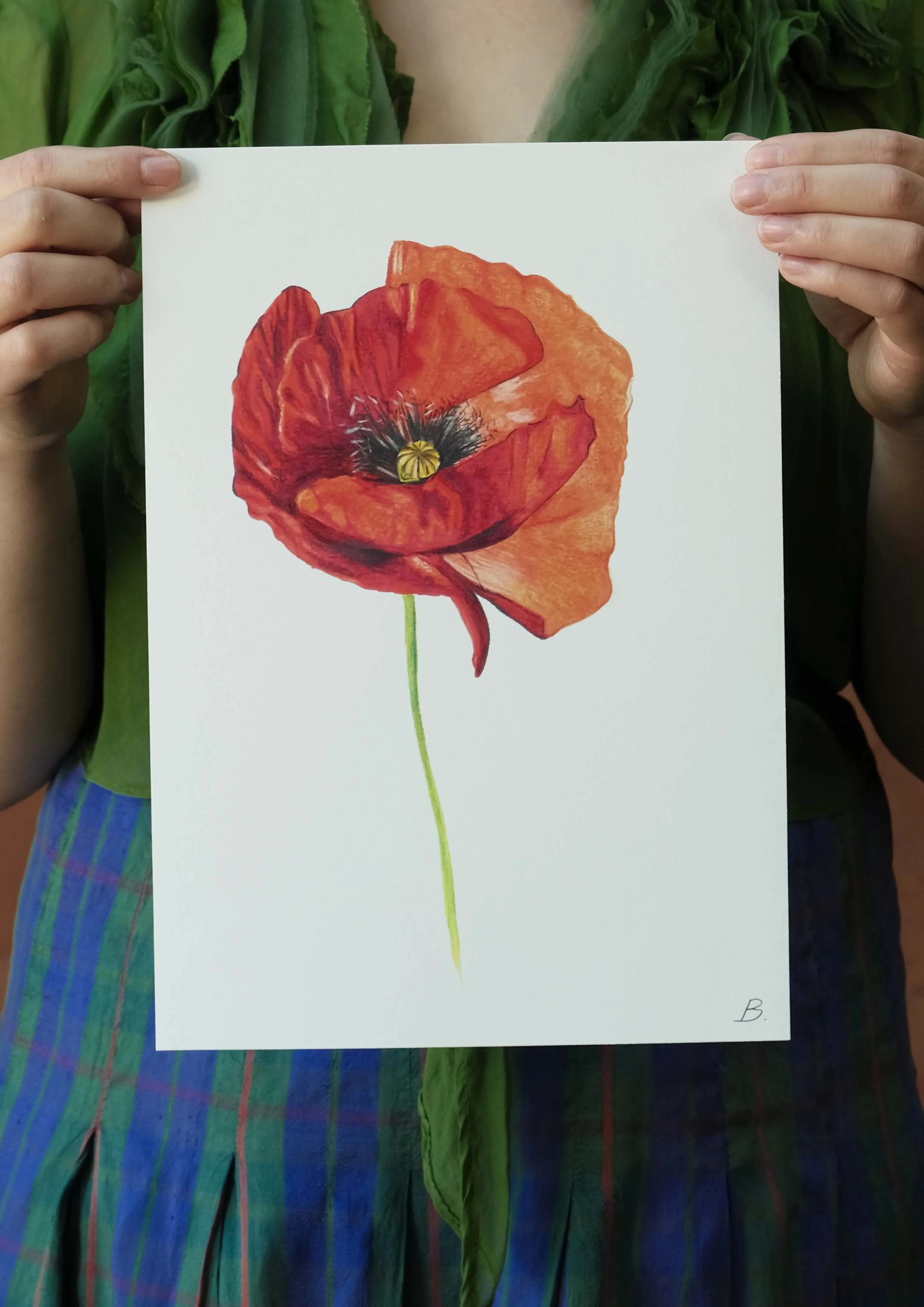 Red Poppy Print