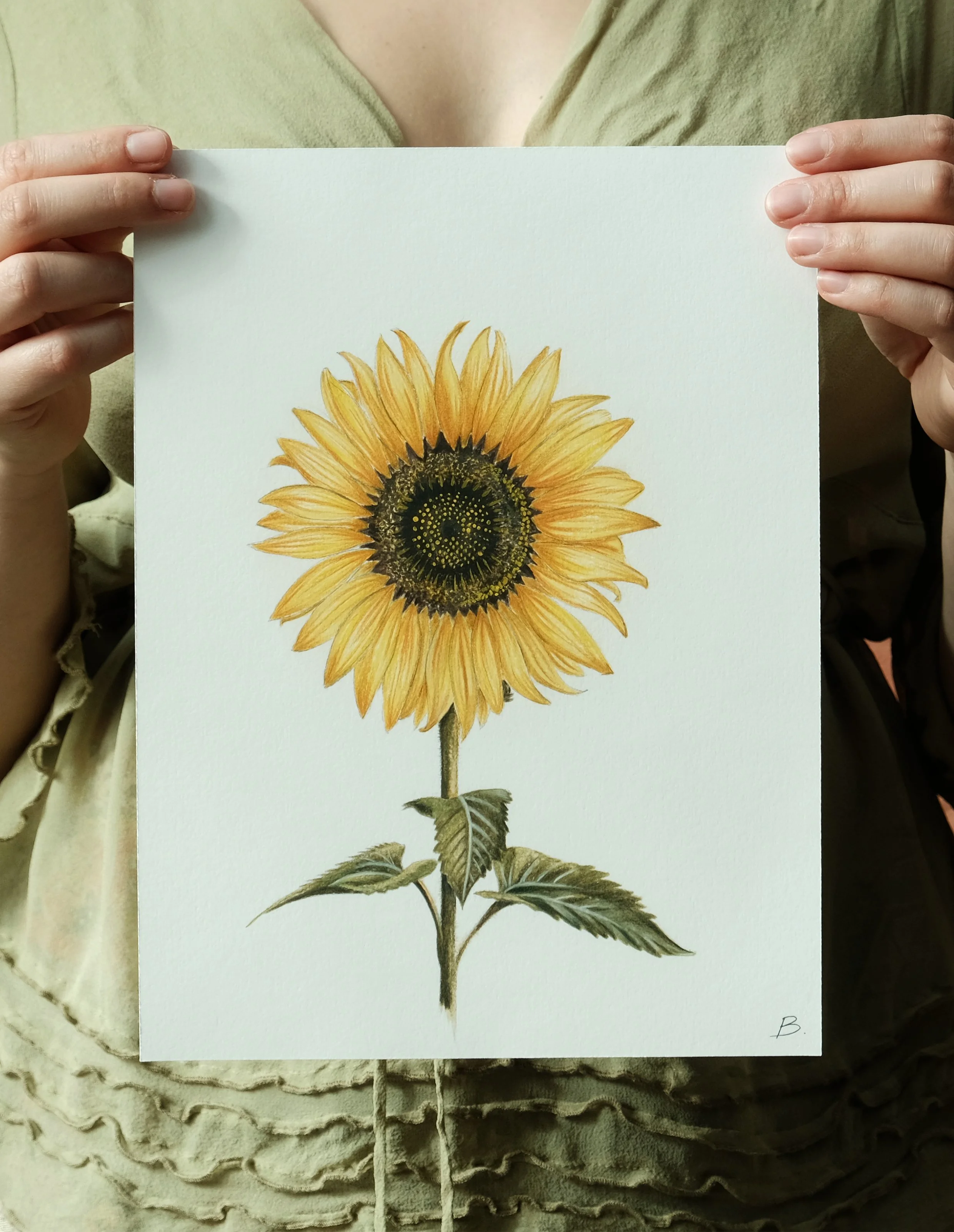 Sunflower Print