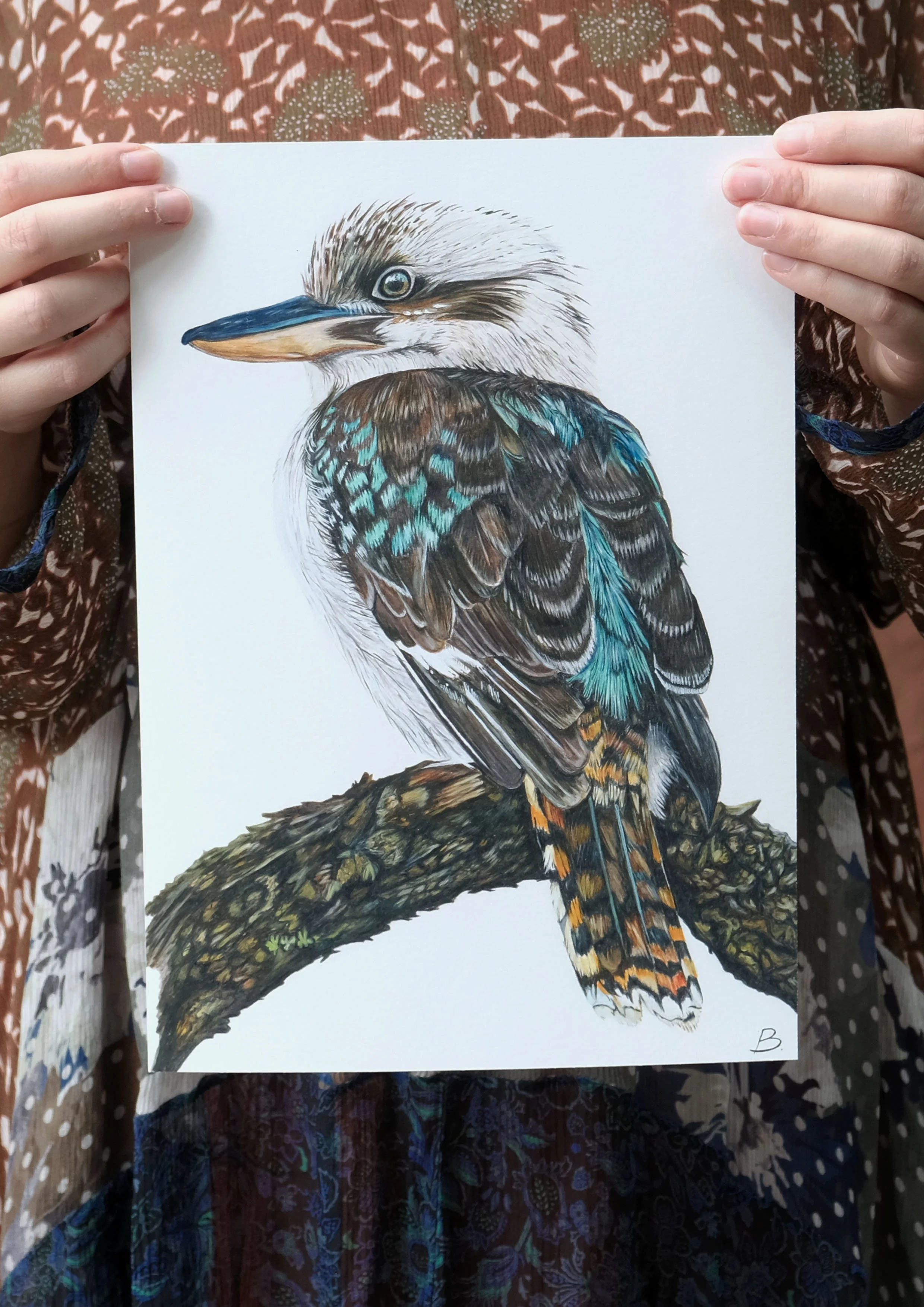 Laughing Kookaburra Print