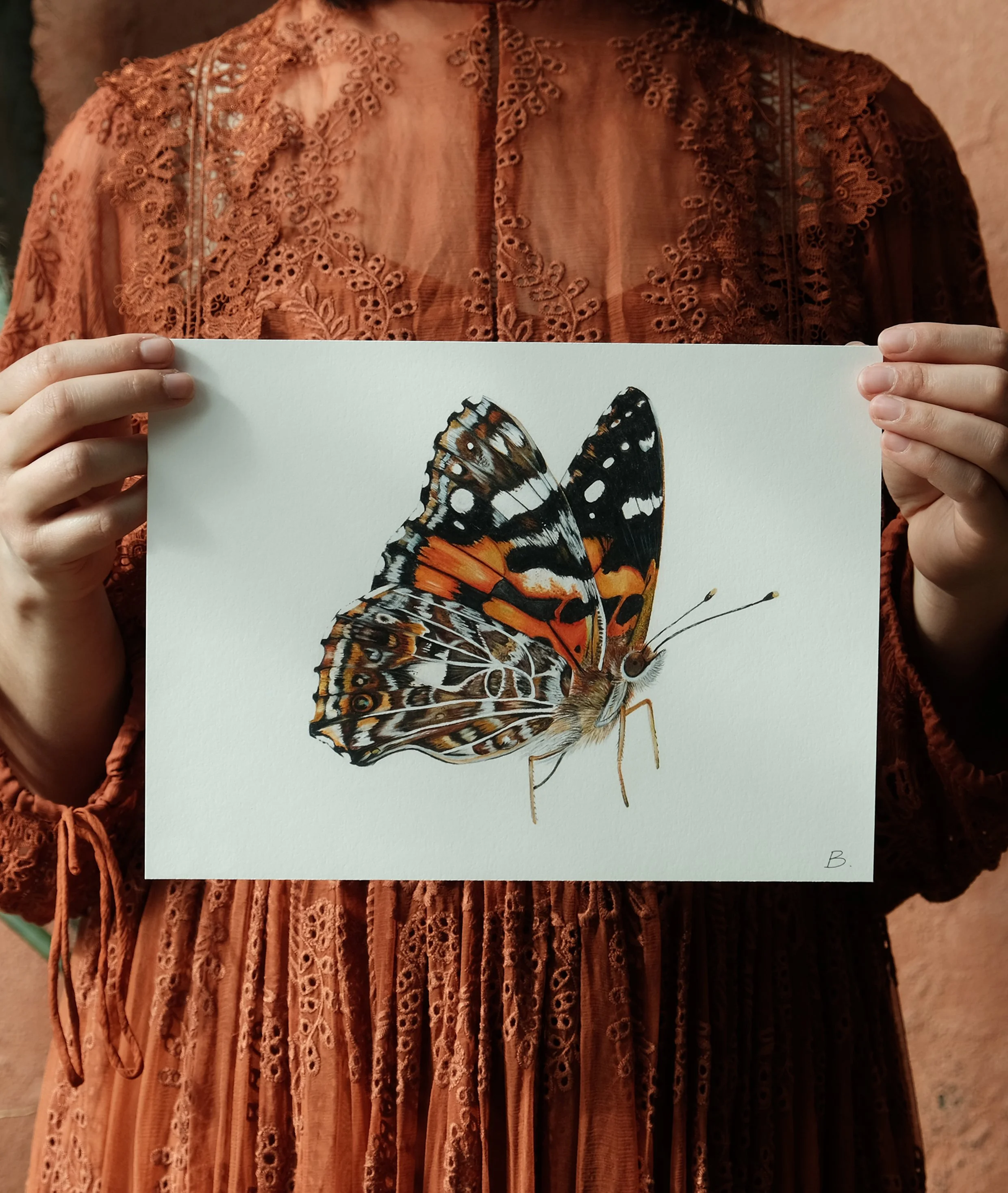 Painted Lady Butterfly Print