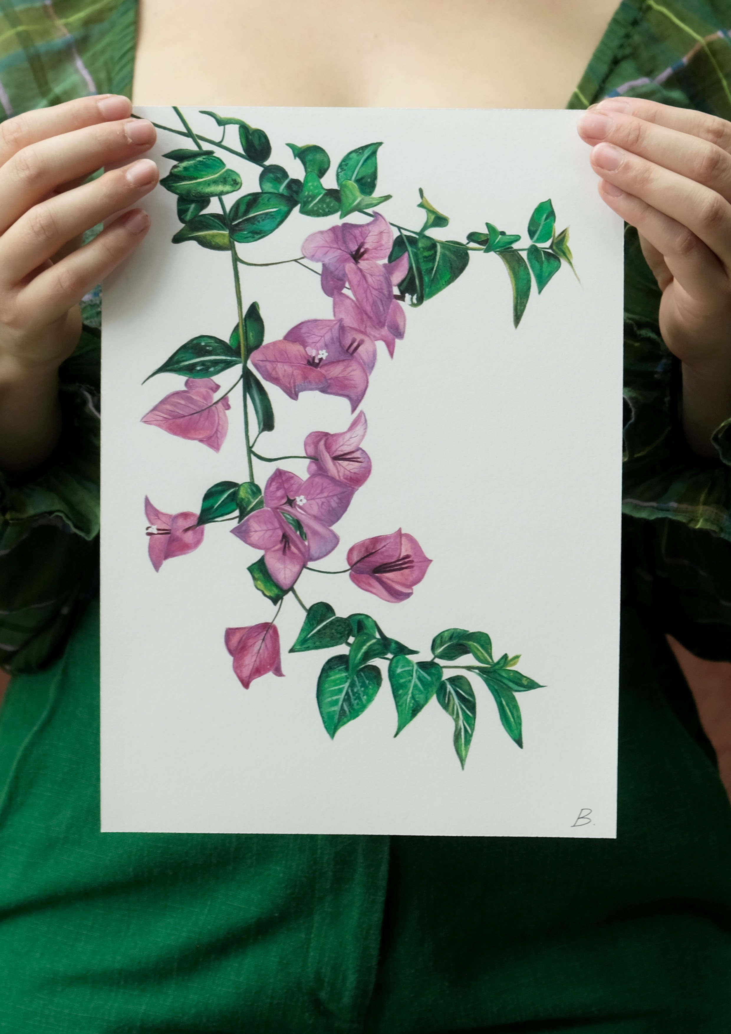 Bougainvillea Print