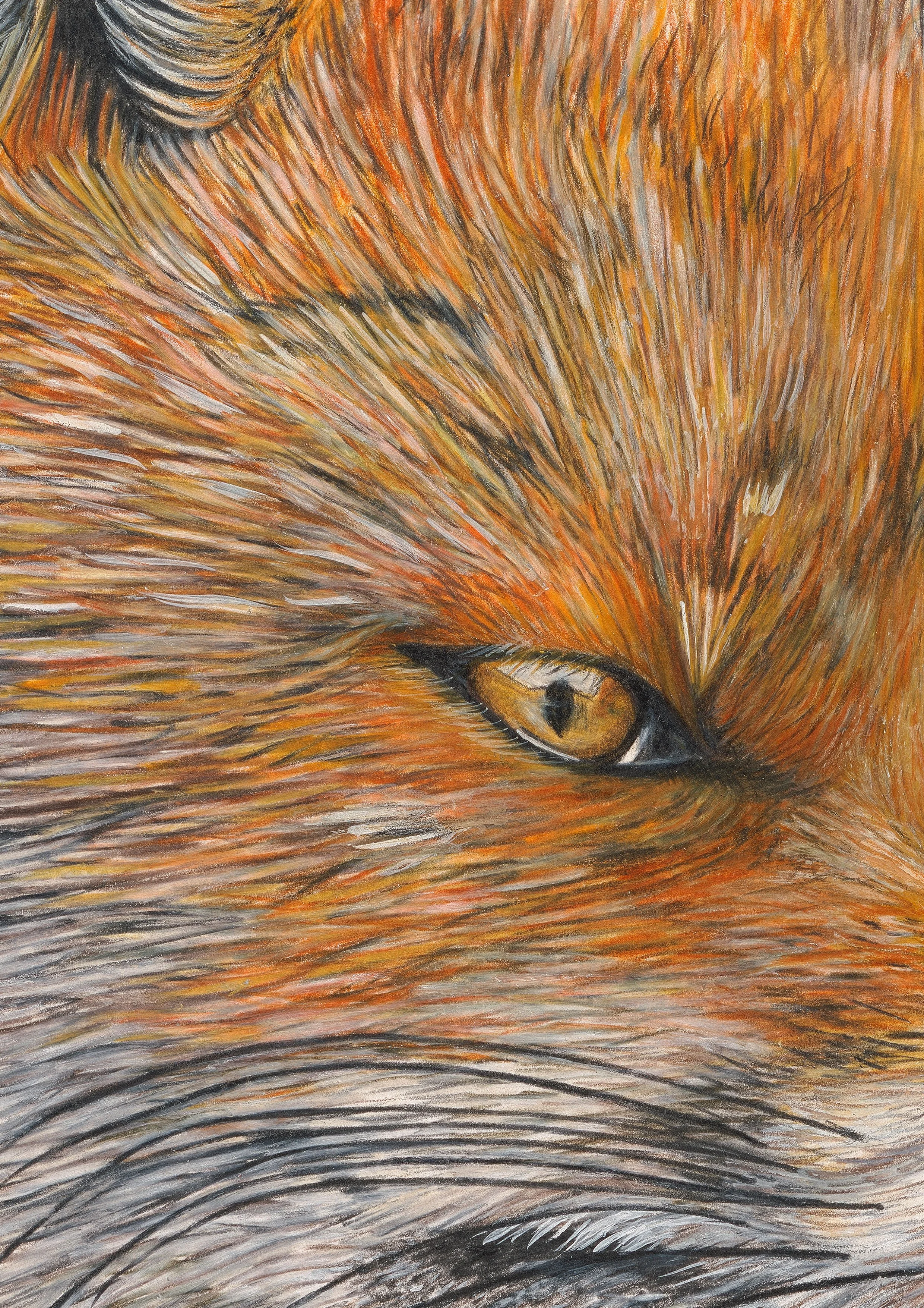 Belinda Nadile Art - Red Fox Detail.jpg