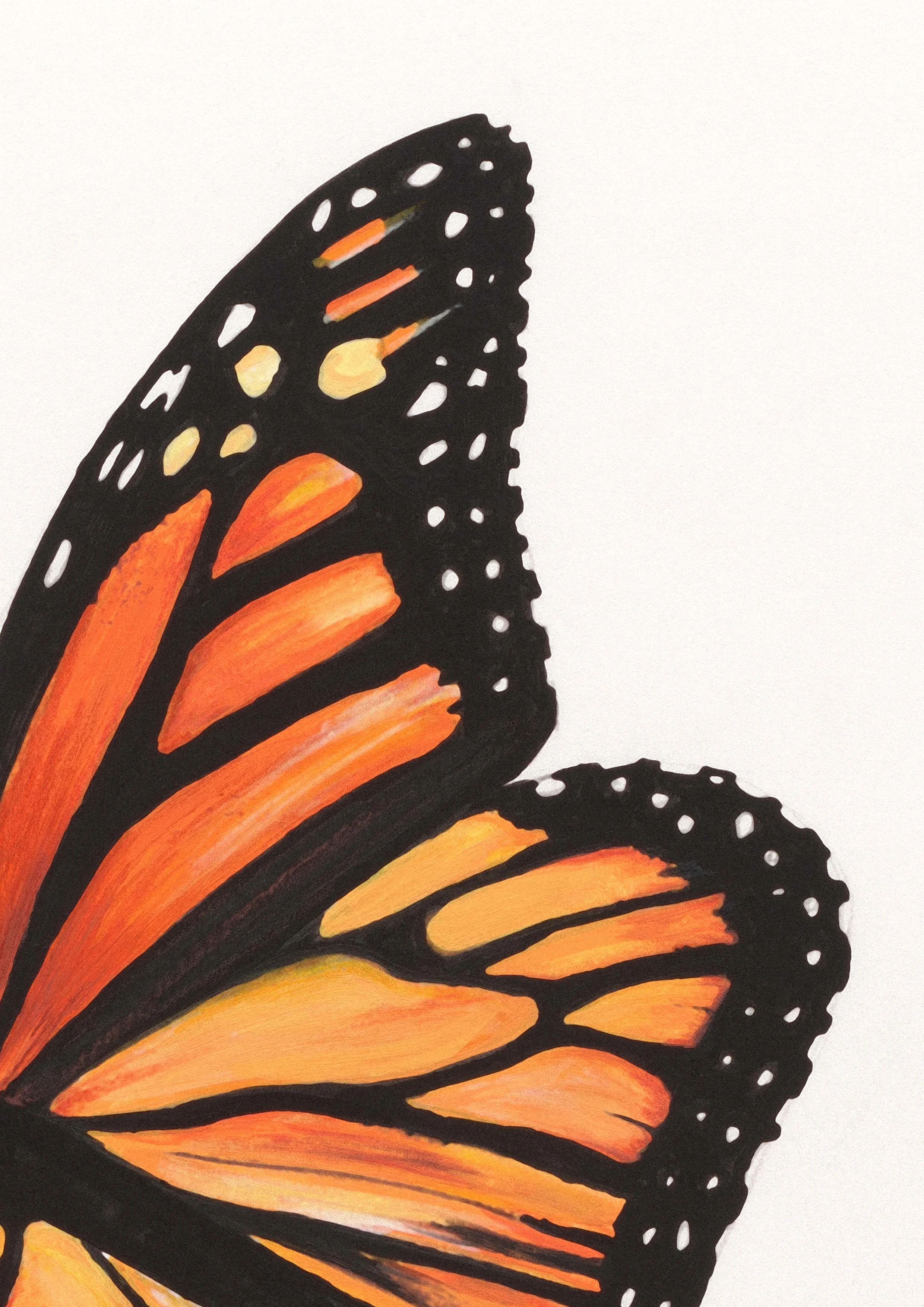 Belinda Nadile Art - Monarch Butterfly Detail.jpg