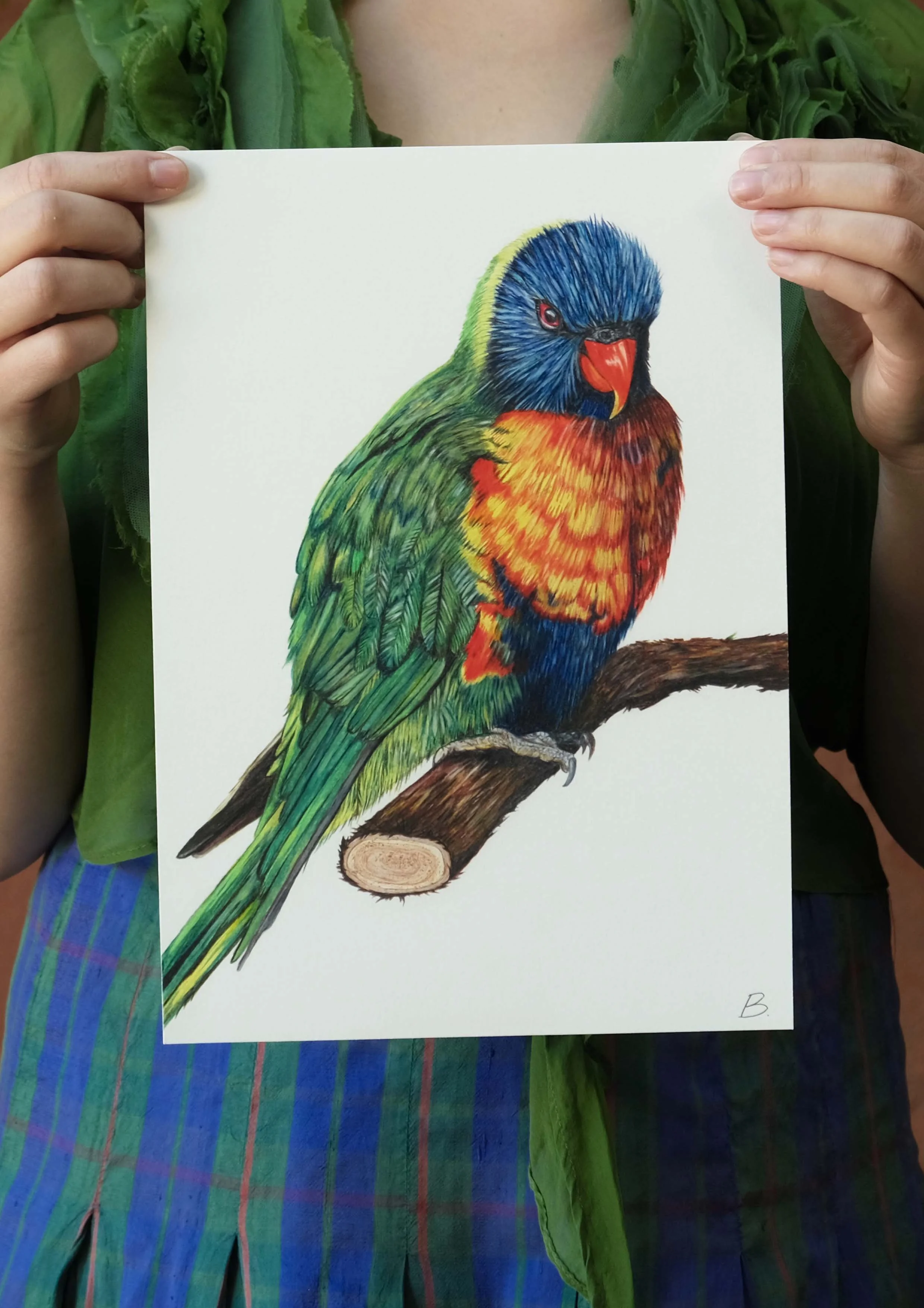 Rainbow Lorikeet Print