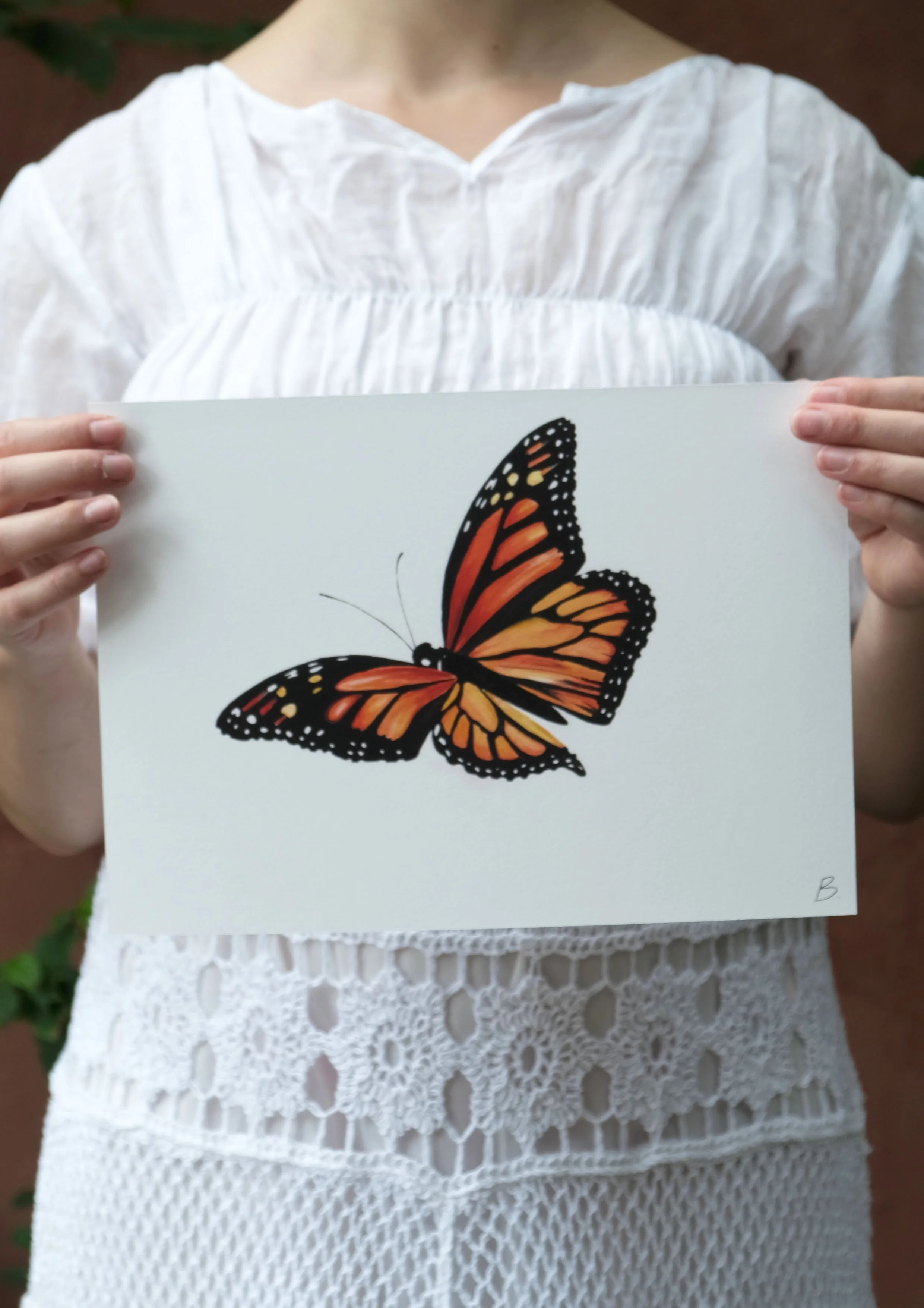 Monarch Butterfly Print