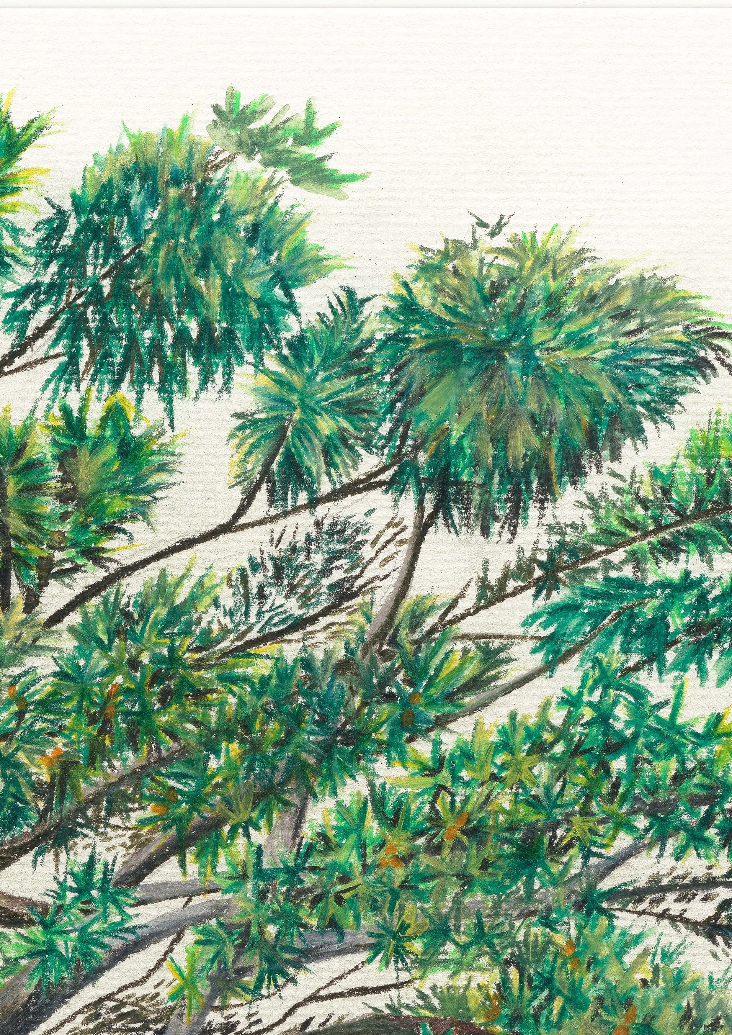 Belinda Nadile Art - Tree In Summer Detail.jpg