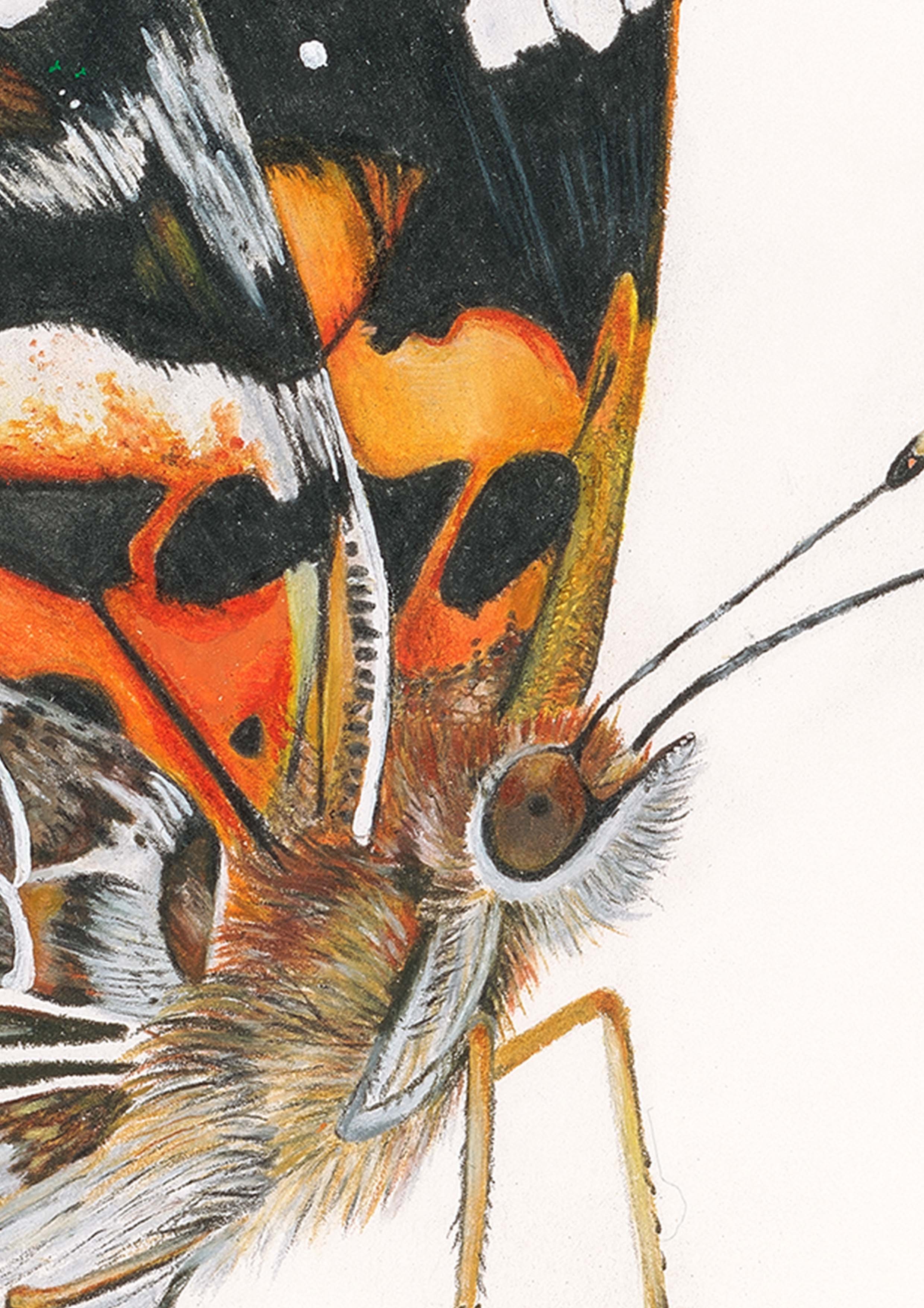Belinda Nadile Art - Painted Lady Butterfly Detail.jpg