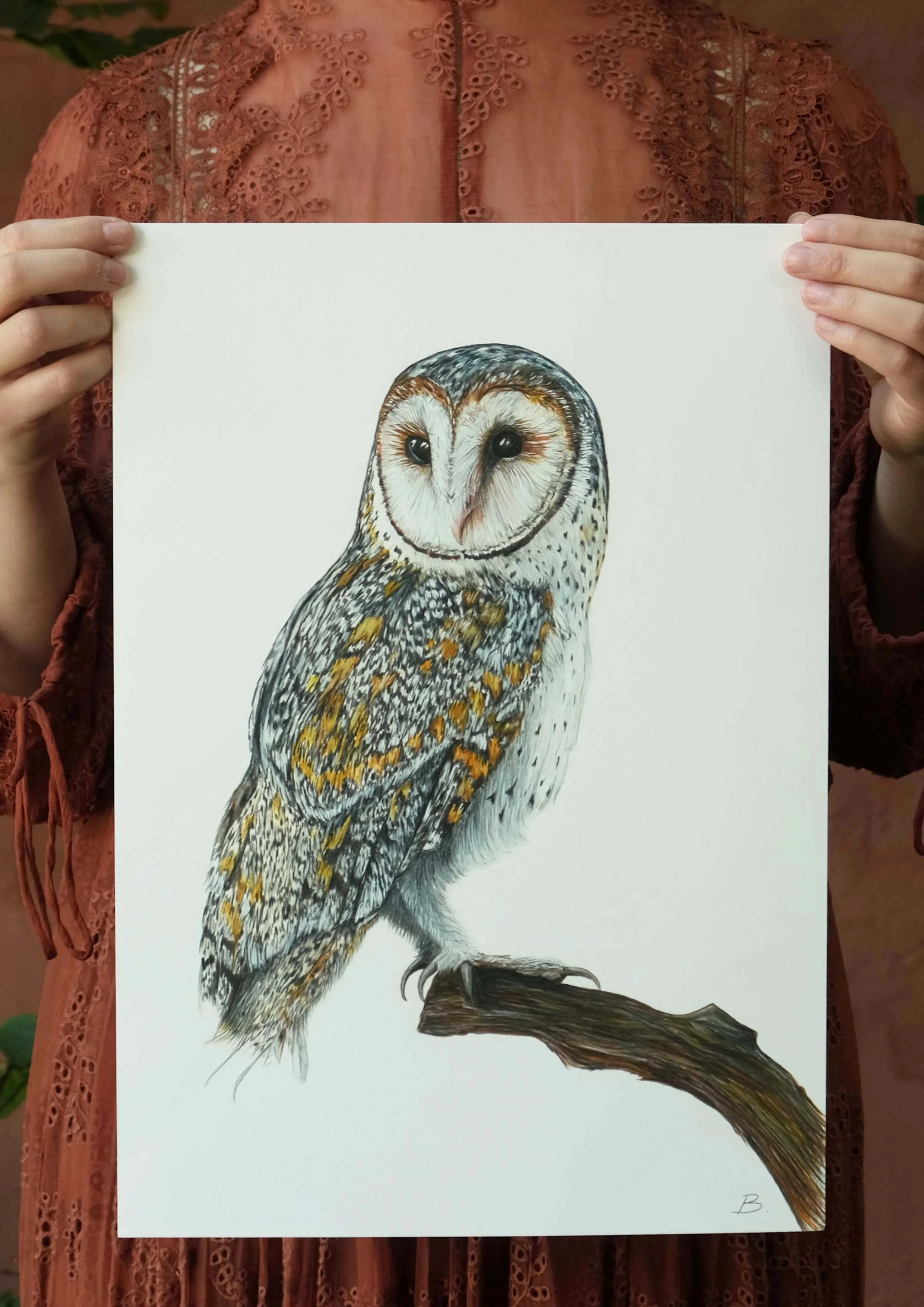 Australian Masked Owl Print
