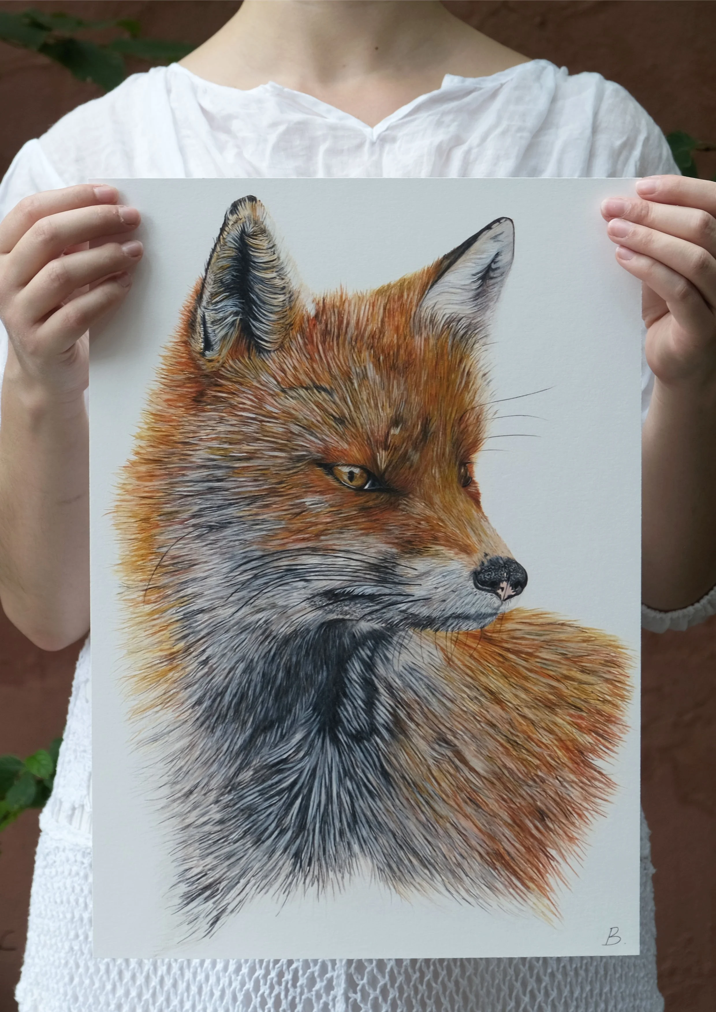 Red Fox Print