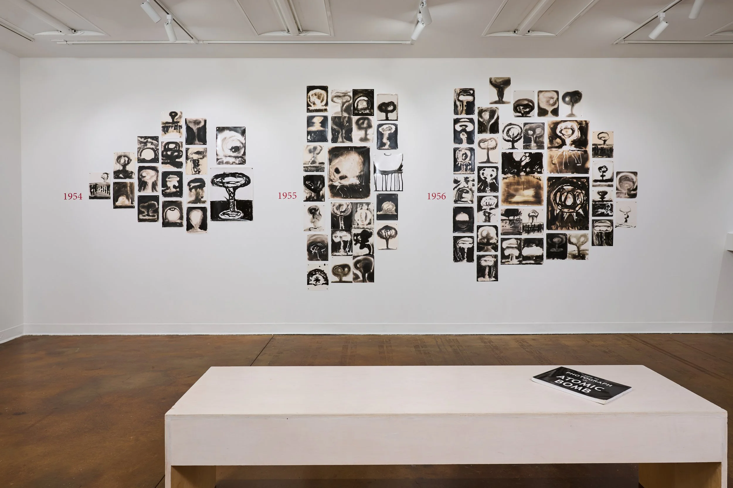 7_Atomic Dragons - Install view slavick 528 Nuclear Tests.jpg
