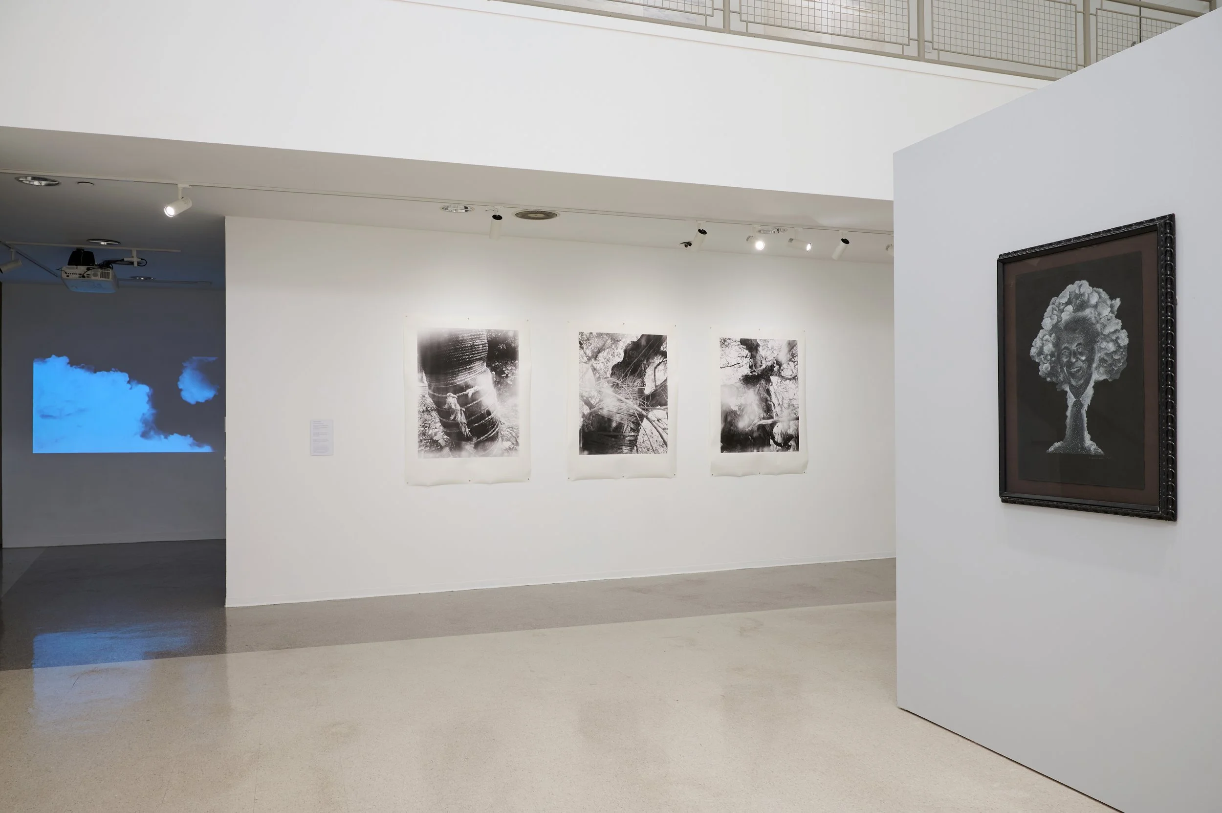 3_Atomic Dragons - Install view Amundsen.jpg