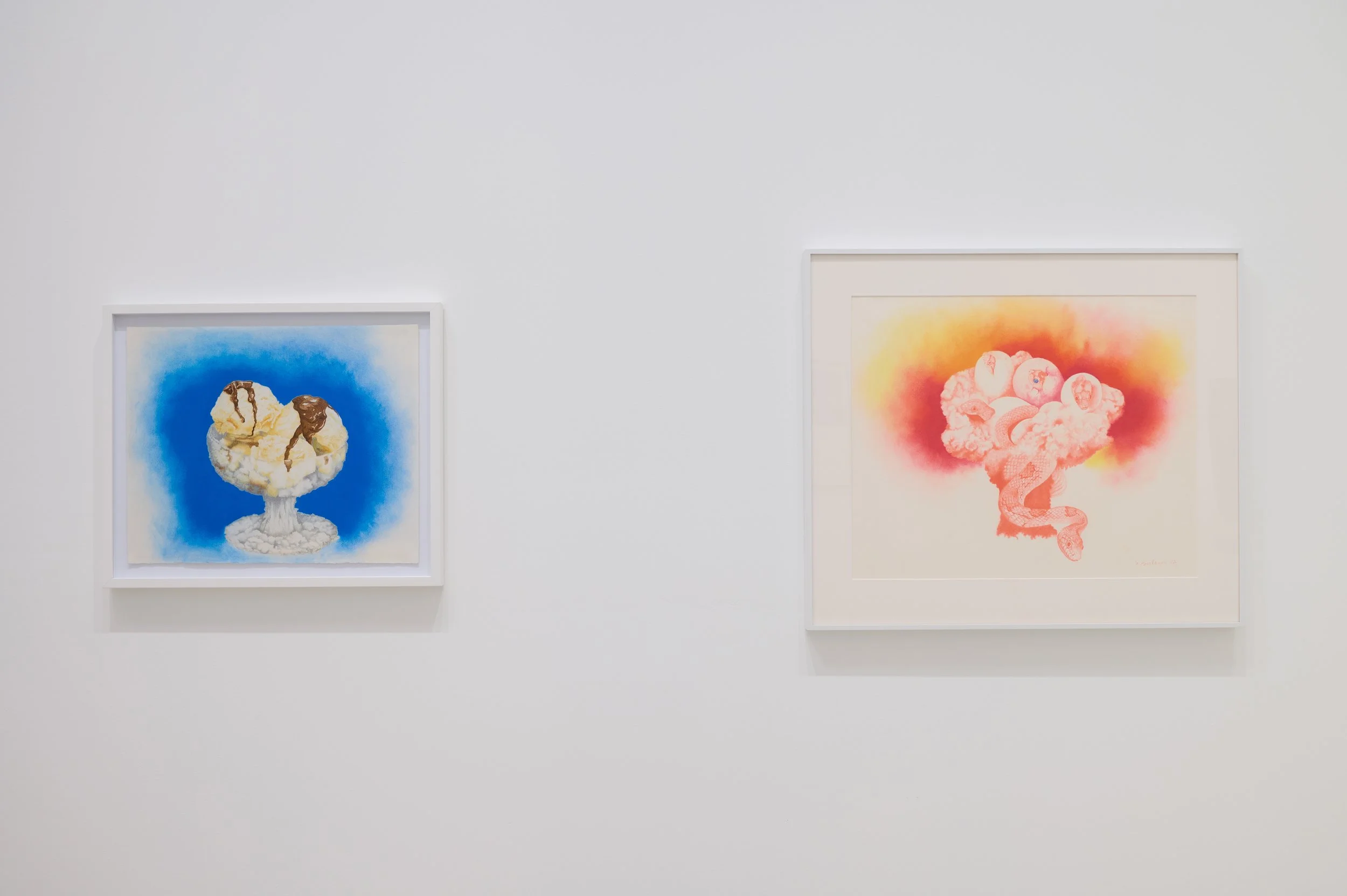 6_Atomic Dragons - Install view Buchanan American Dreams.jpg
