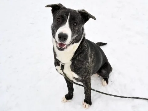 Getting Creative With Managed Intake