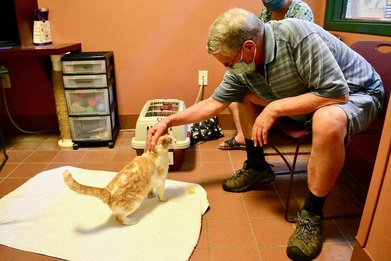 Adopters Welcome: What It Means and Why We Practice It