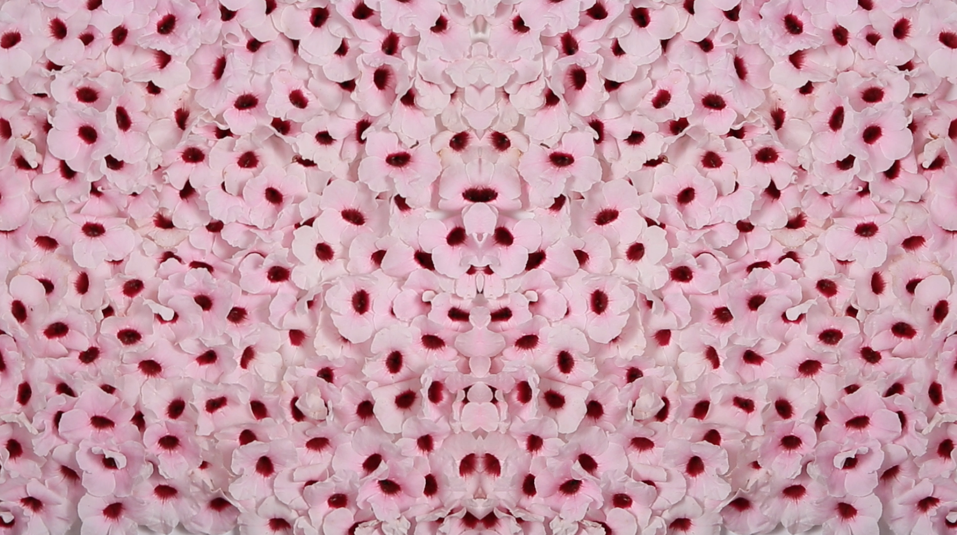 Screen Shot 2015-10-29 at 12.39.34 pm.png