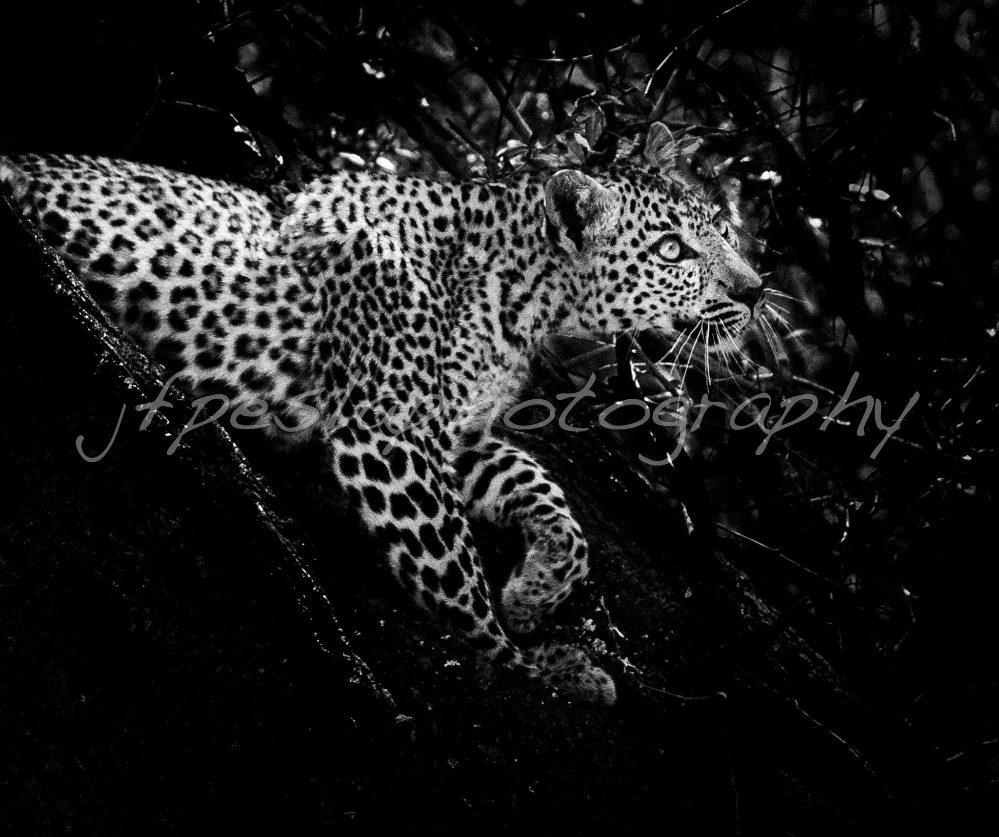 Aller plus haut...!!