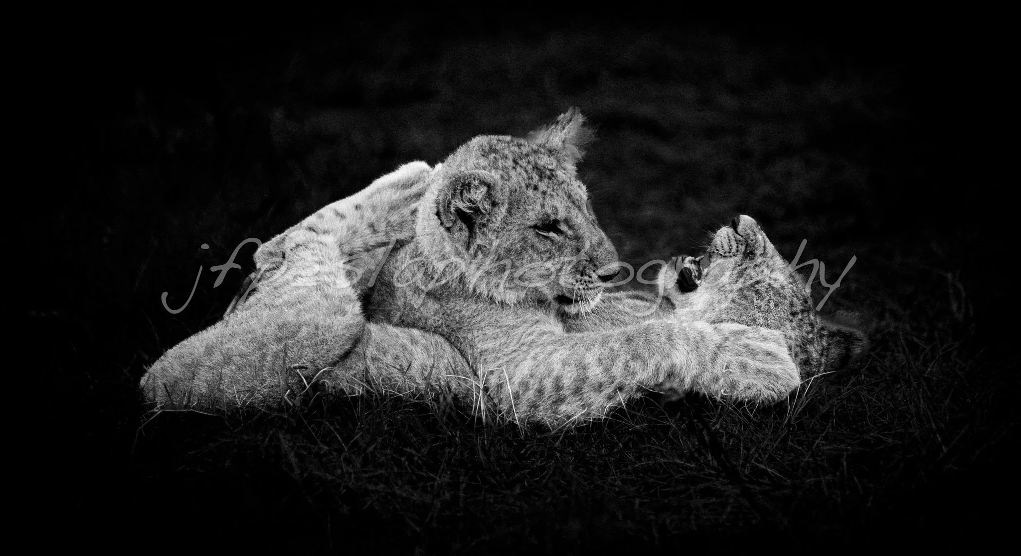 Je te tiens, tu me tiens par la barbichette..