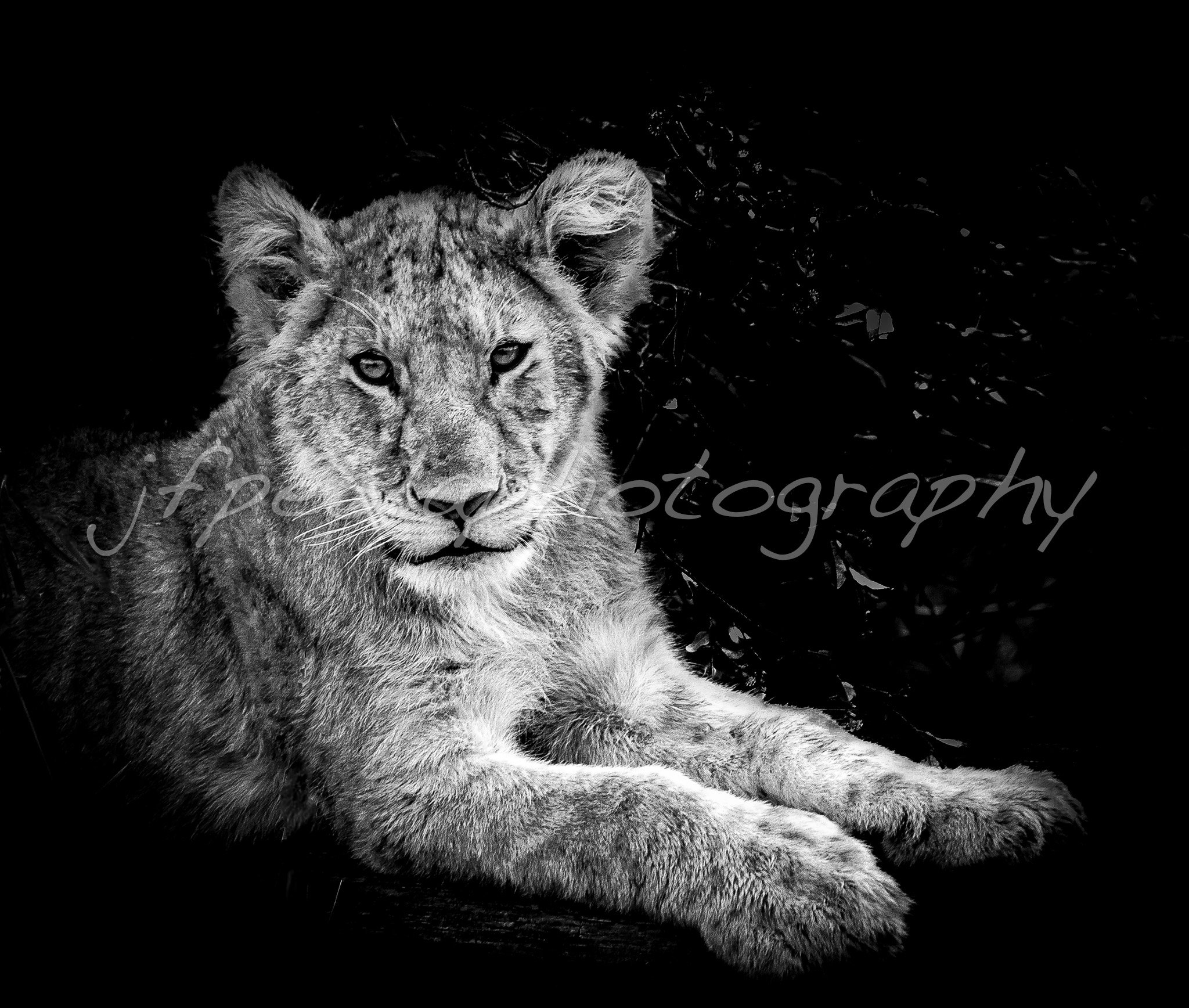 Tout vient à point à qui sait attendre...