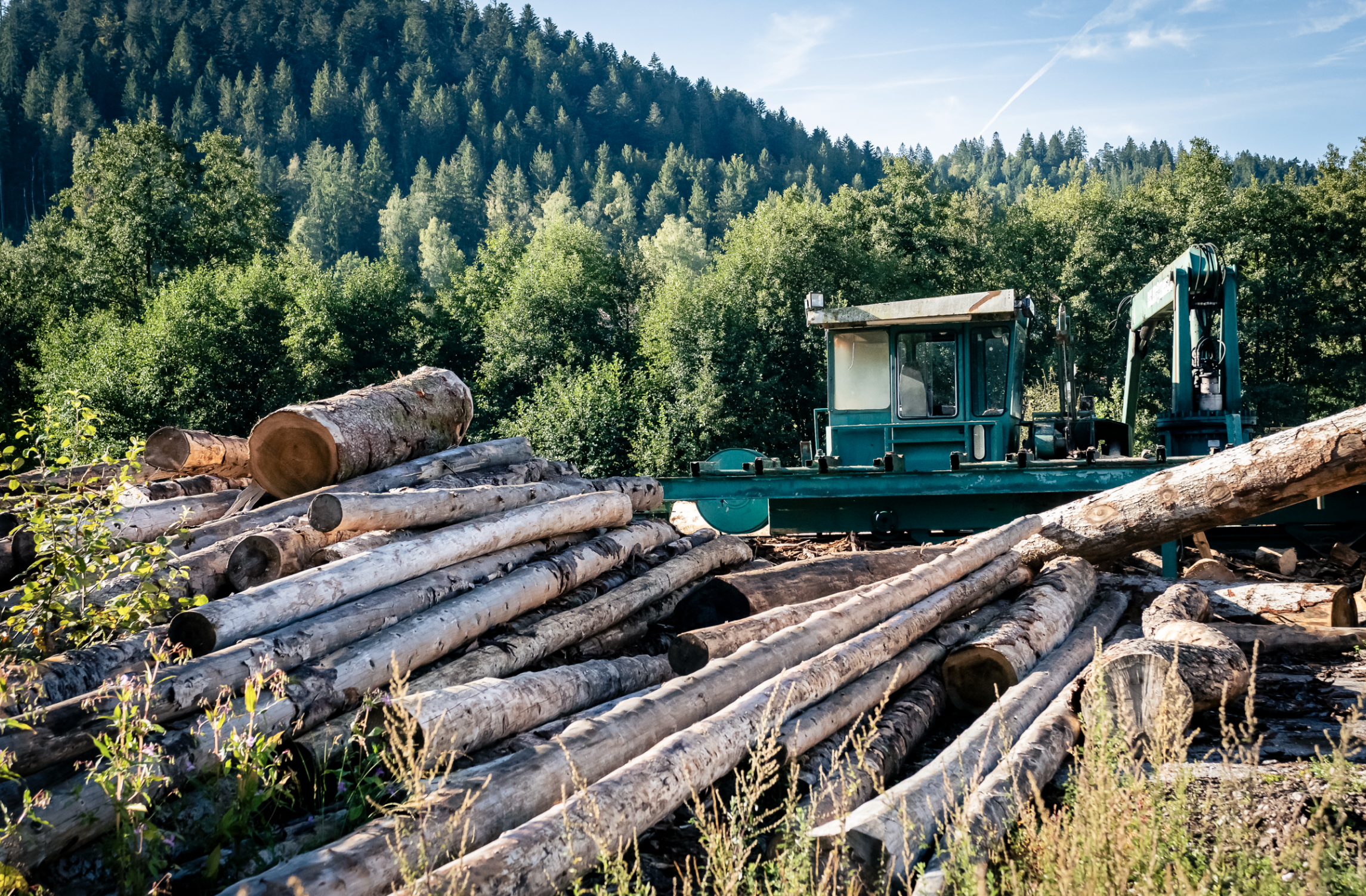 Scierie qui nous fournit en sciure de sapin des vosges pour notre fumage à froid