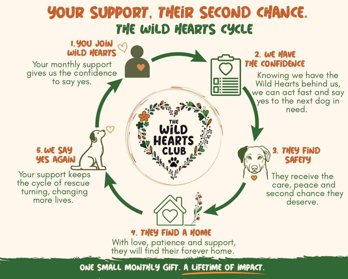 Infographic explaining the Wild Hearts Cycle, showing steps for supporting rescue dogs through donations. It includes a circular flow with five steps: 1. Joining Wild Hearts; 2. Gaining confidence; 3. Finding safety; 4. Finding a home; 5. Saying yes again. Each step has a brief description and corresponding icons such as a person, a clipboard, a dog, a house, and a dog silhouette. The center features the Wild Hearts Club logo with floral and paw print decorations.