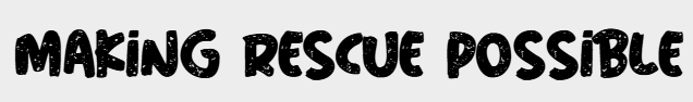 Text saying 'Making Rescue Possible' in bold black letters on a white background.