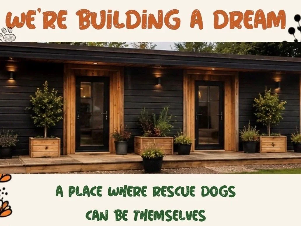 Exterior of a building with two black doors, wooden accents, and potted plants, with a banner at the top reading "We're Building a Dream" and a caption at the bottom saying "A place where rescue dogs can be themselves."