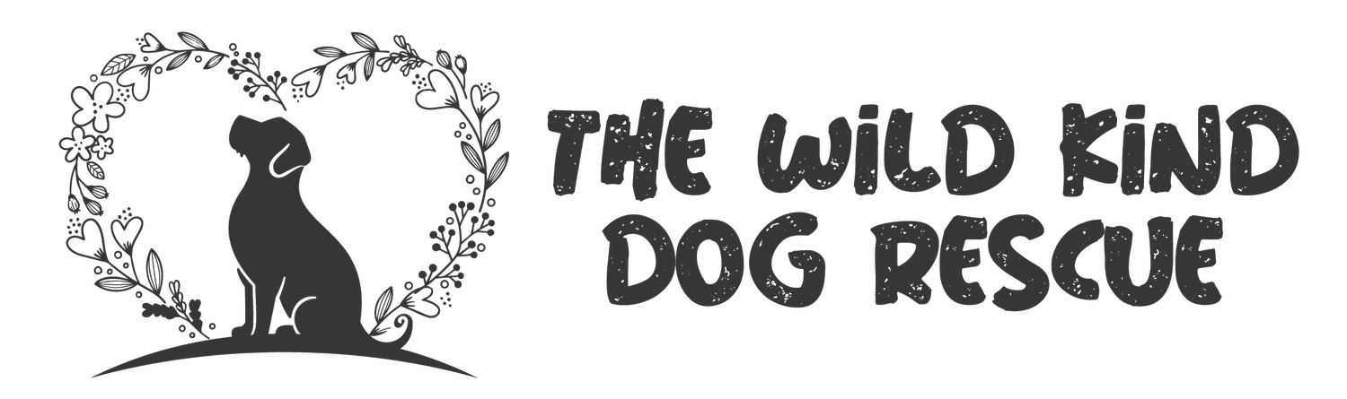 The Wild Kind Dog Rescue 