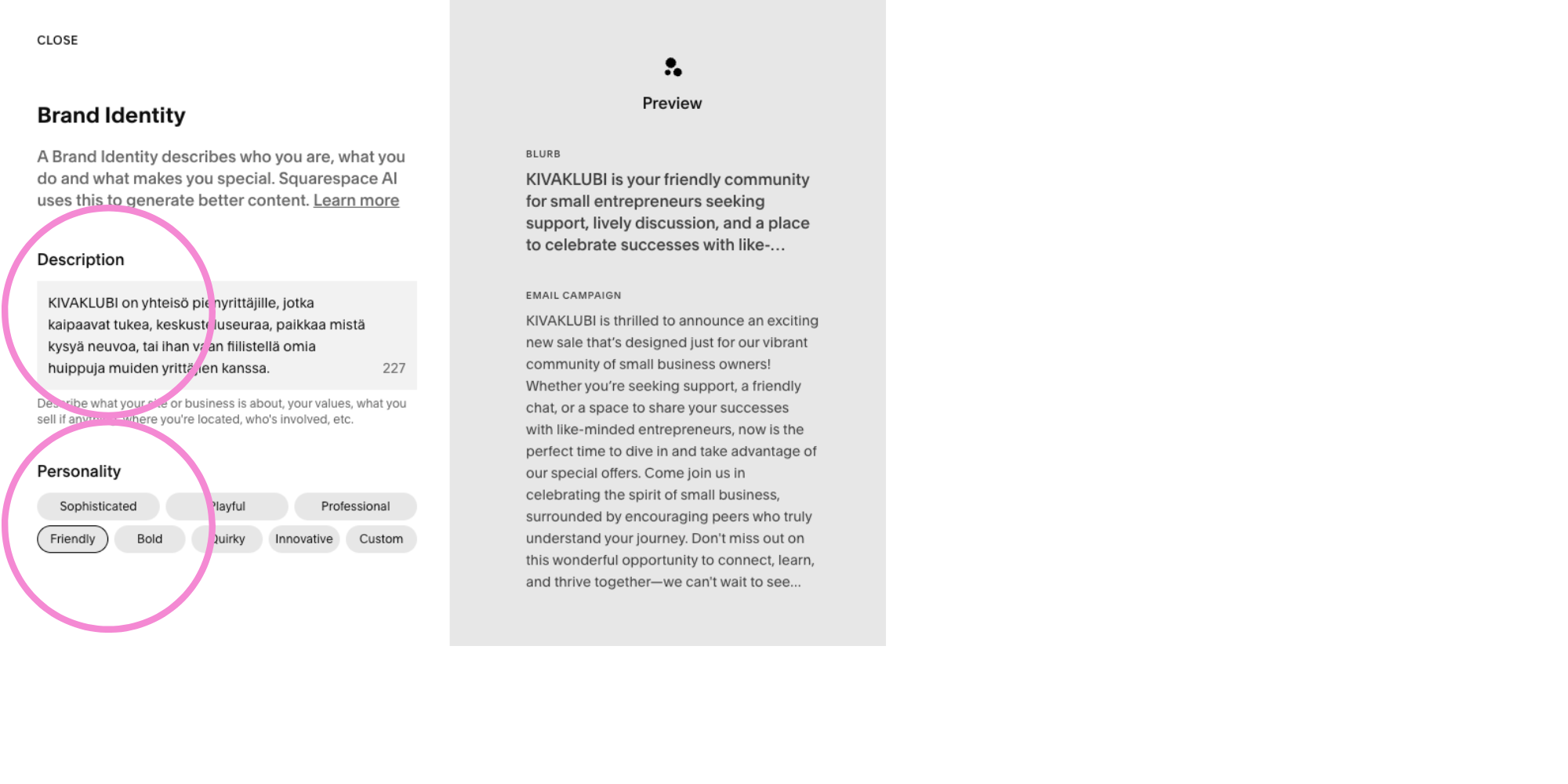 Kuvakaappaus Squarespacen brand identity -työkalusta