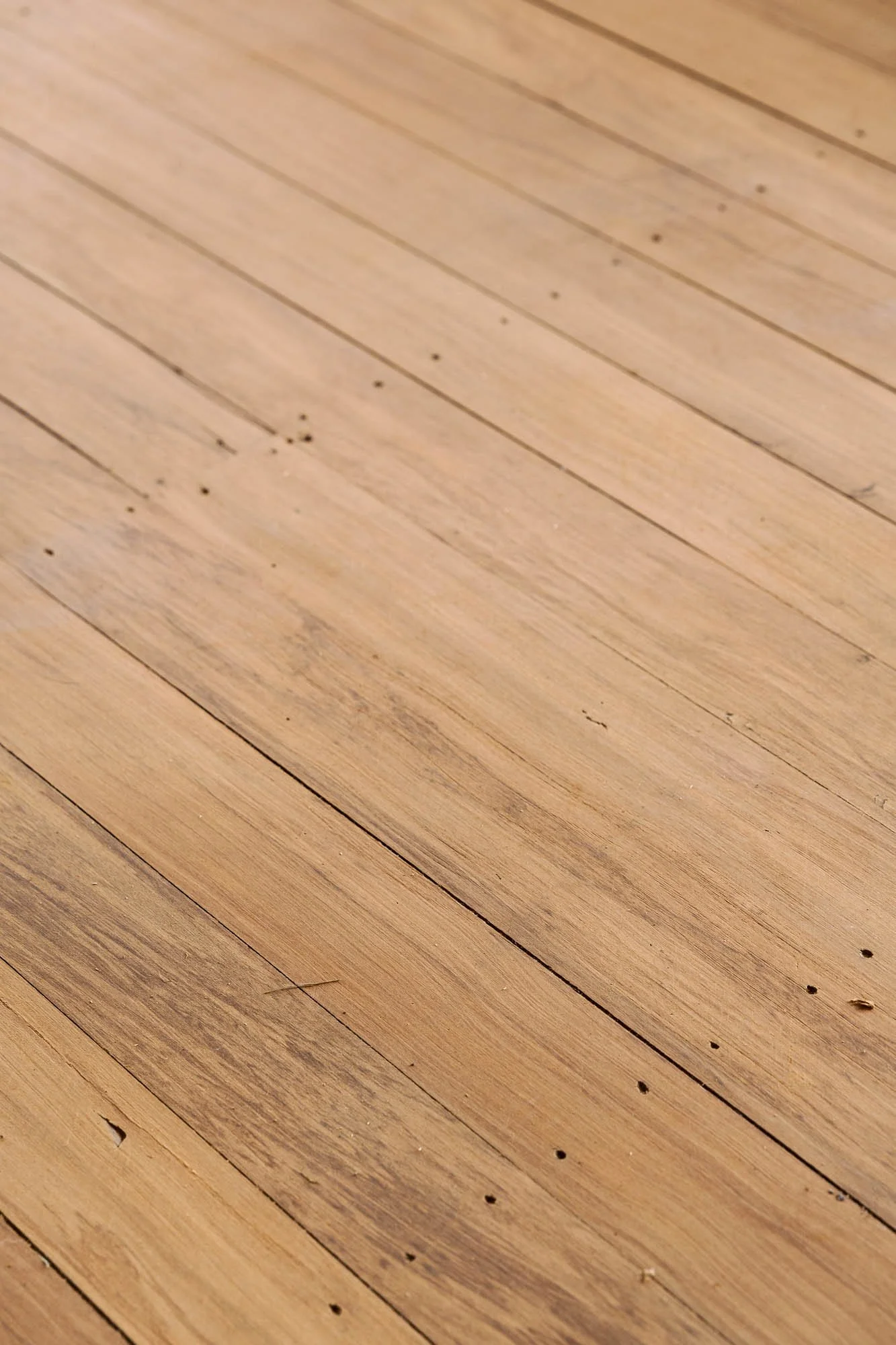 WEB_Norsewood Builders_Cameron Rd, Morrinsville_57.jpg