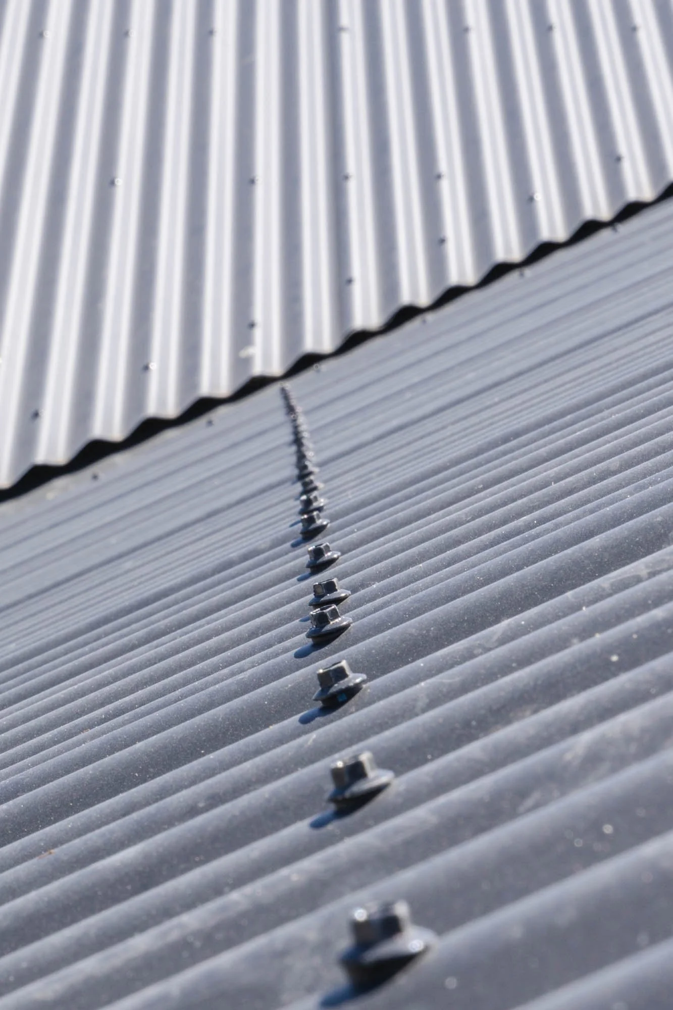 WEB_Norsewood Builders_Cameron Rd, Morrinsville_76.jpg