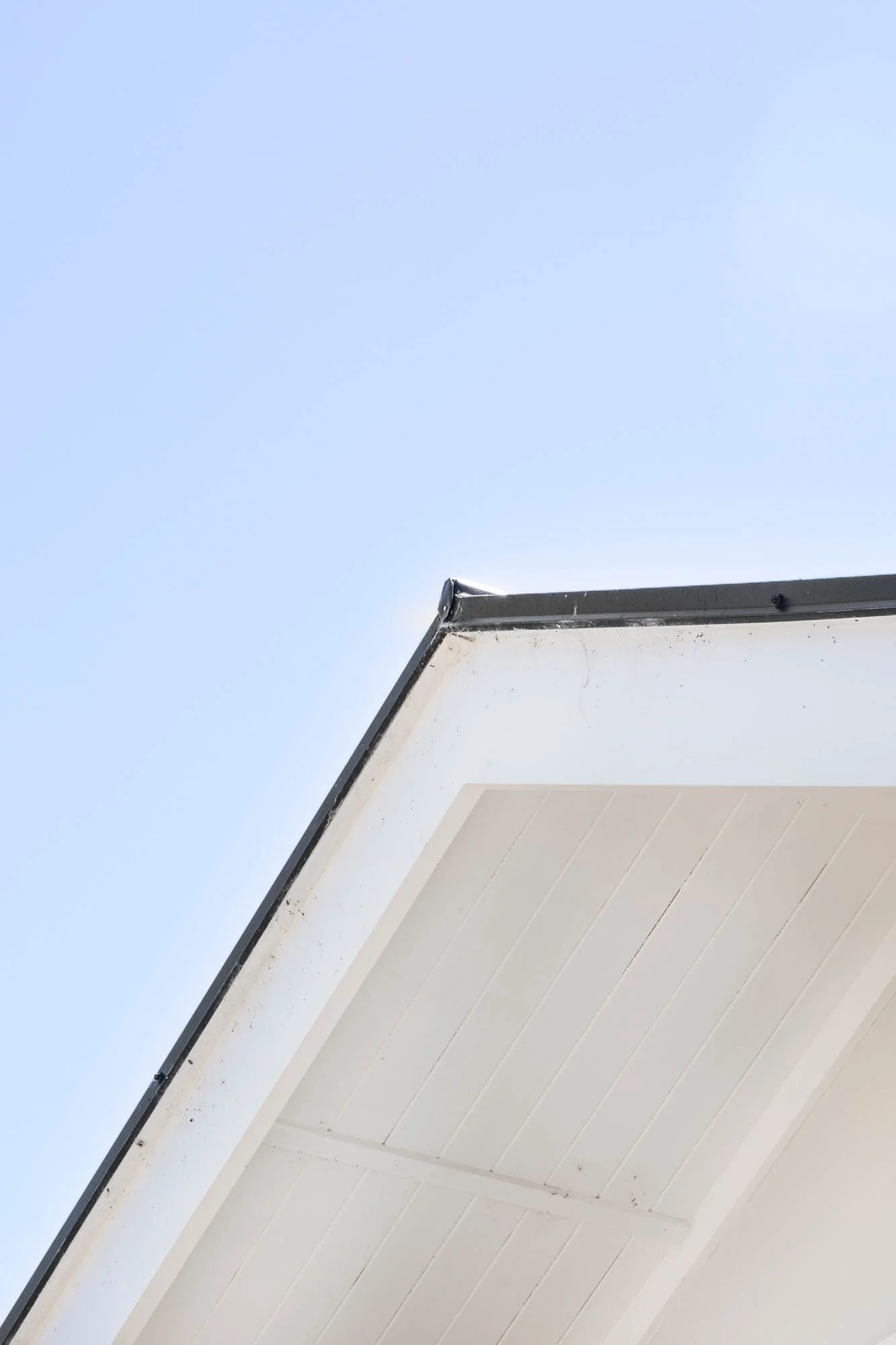WEB_Norsewood Builders_Cameron Rd, Morrinsville_67.jpg