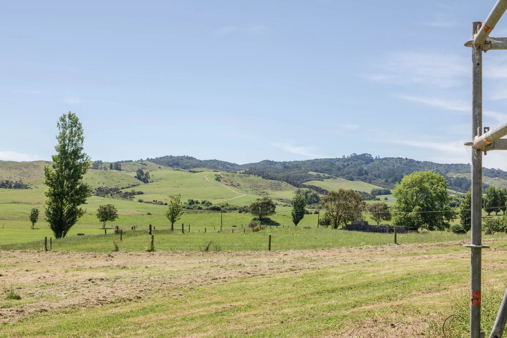 WEB_Norsewood Builders_Cameron Rd, Morrinsville_106.jpg
