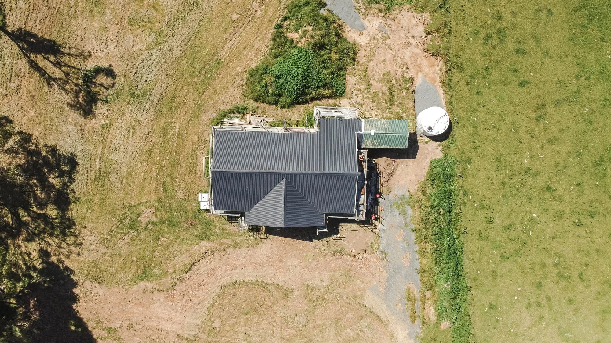 WEB_Norsewood Builders_Cameron Rd, Morrinsville_4.jpg