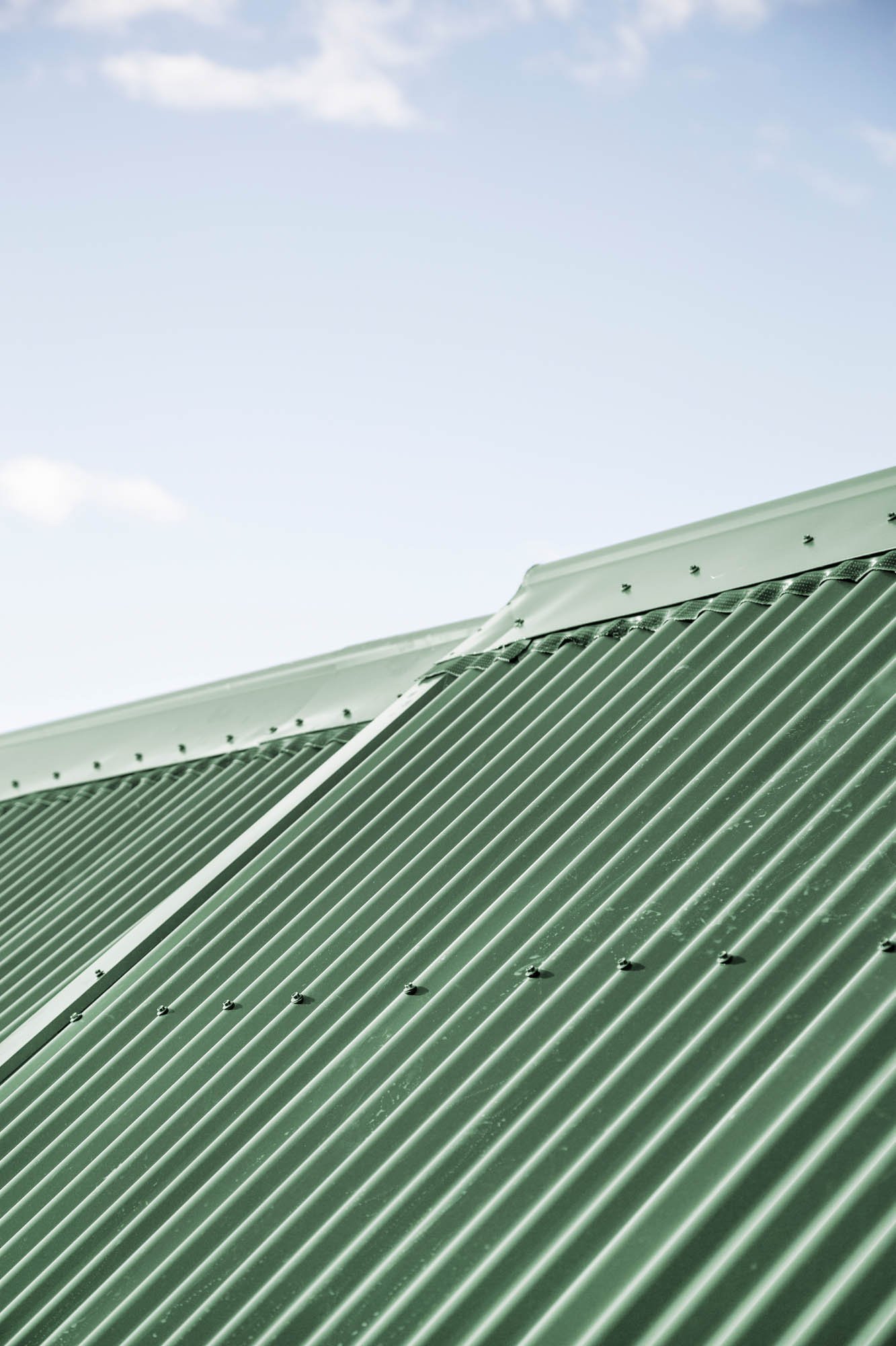 WEB_Norsewood Builders_Pt England_29.jpg