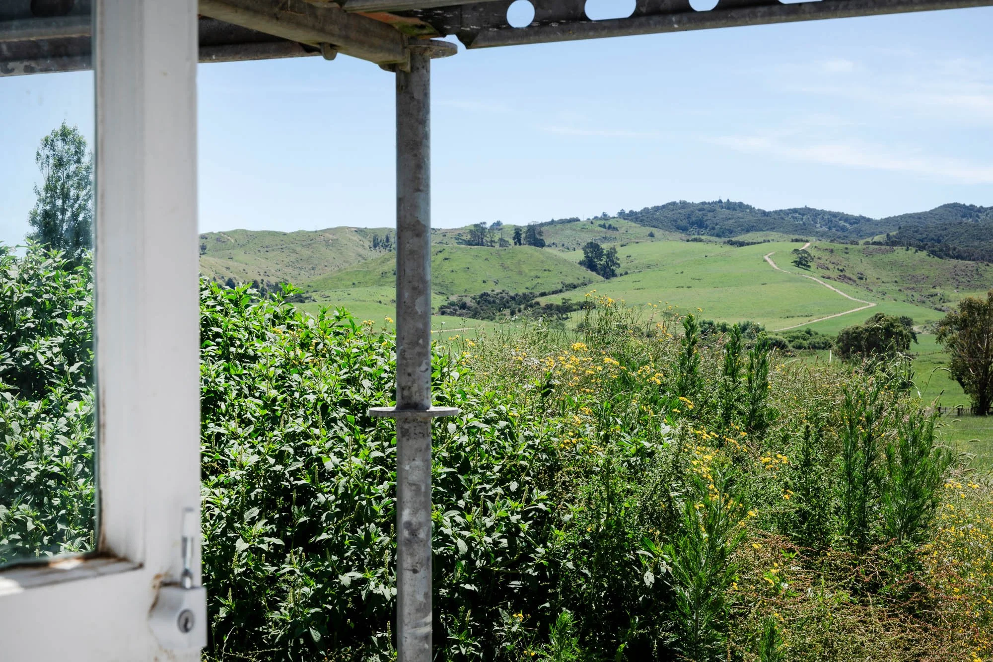 WEB_Norsewood Builders_Cameron Rd, Morrinsville_46.jpg