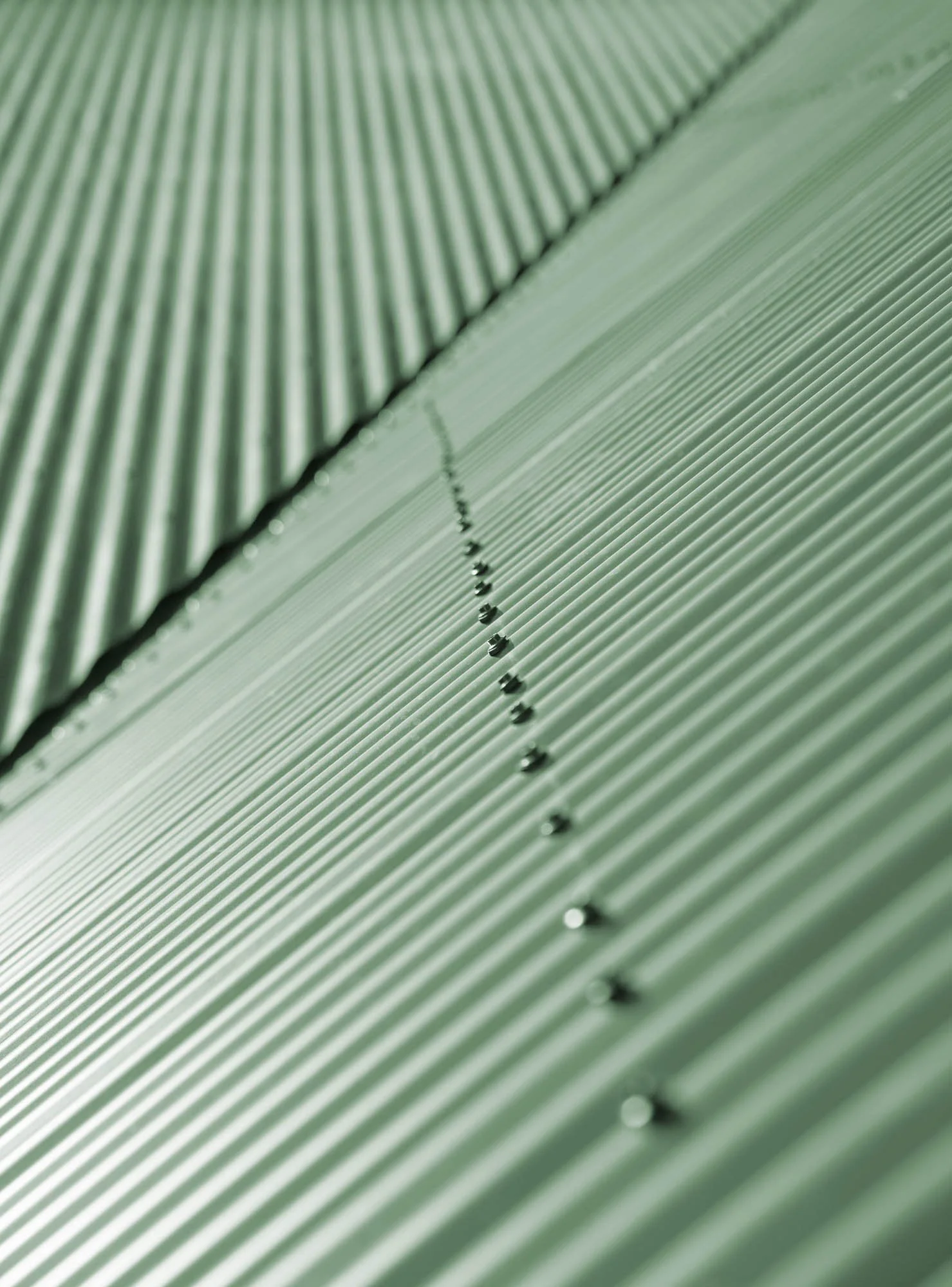 WEB_Norsewood Builders_Pt England_34.jpg