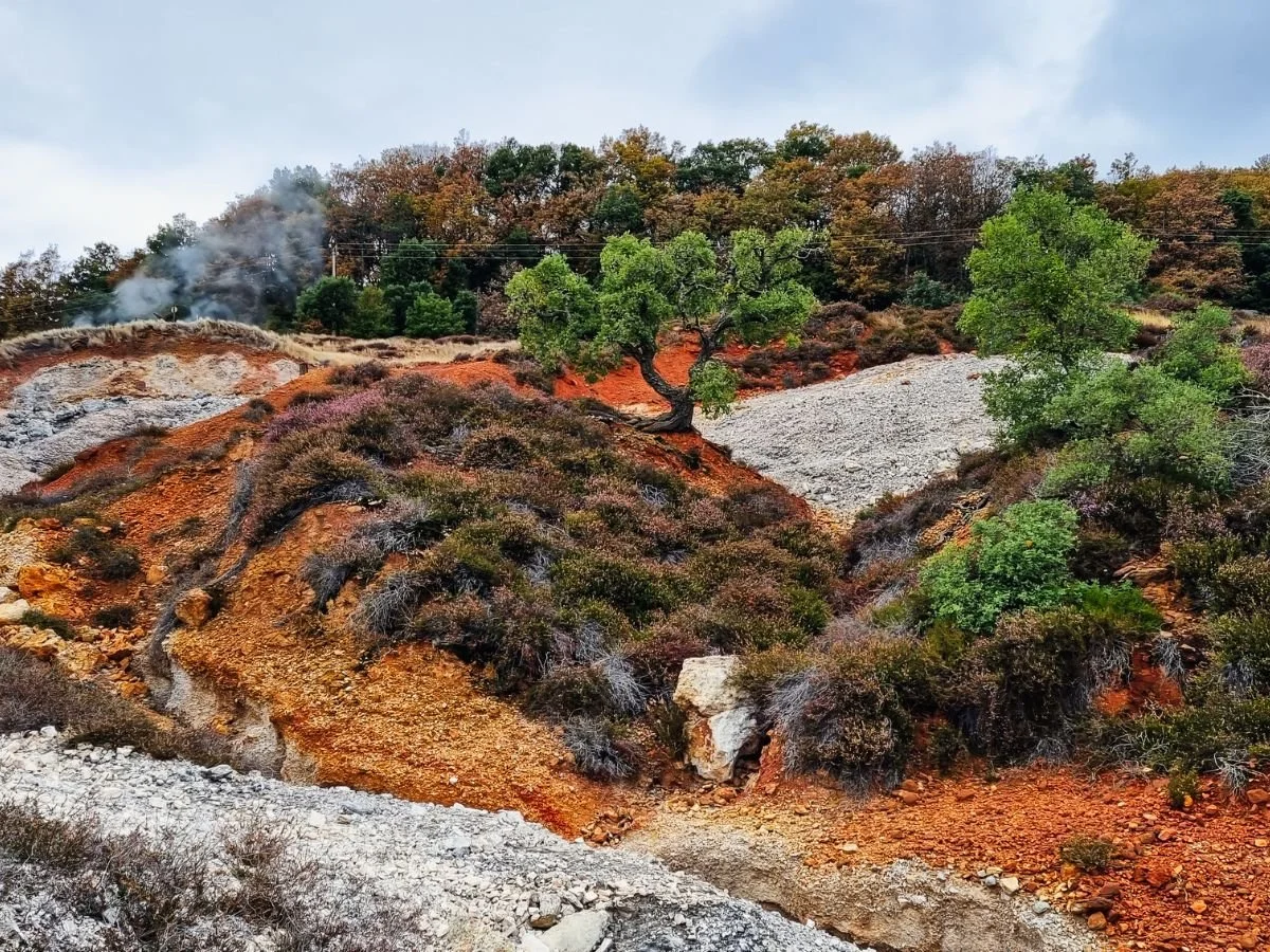 Paysage de montagne avec des arbres verts, des plantes de couleur auto, une légère fumée ou vapeur qui s'échappe en arrière-plan, et un sol rocheux et terreux.