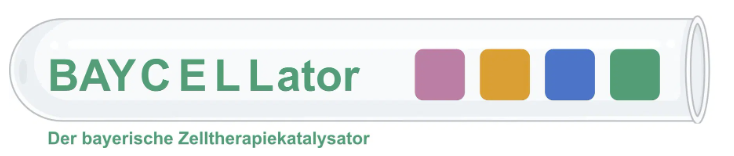 Package of BAYCELLator, a bayerische Zelltherapiekatalysator, BayCellator accelerator, biotech startup accelerator Germany, life science startup Bavaria, biotech entrepreneurship program