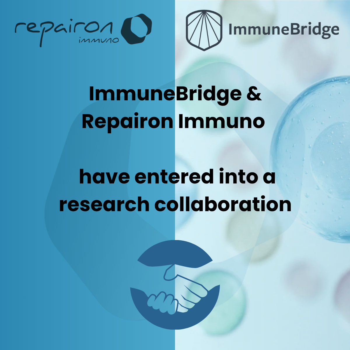 11.08.2026 ImmuneBridge and Repairon Immuno have entered into a research collaboration 