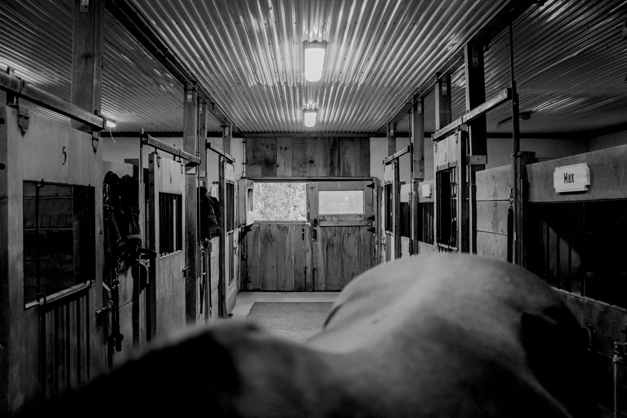 Black and white photo of horse stables with a view through a horse's perspective, showing the stable aisle with stalls on each side and a window at the far end letting in natural light.