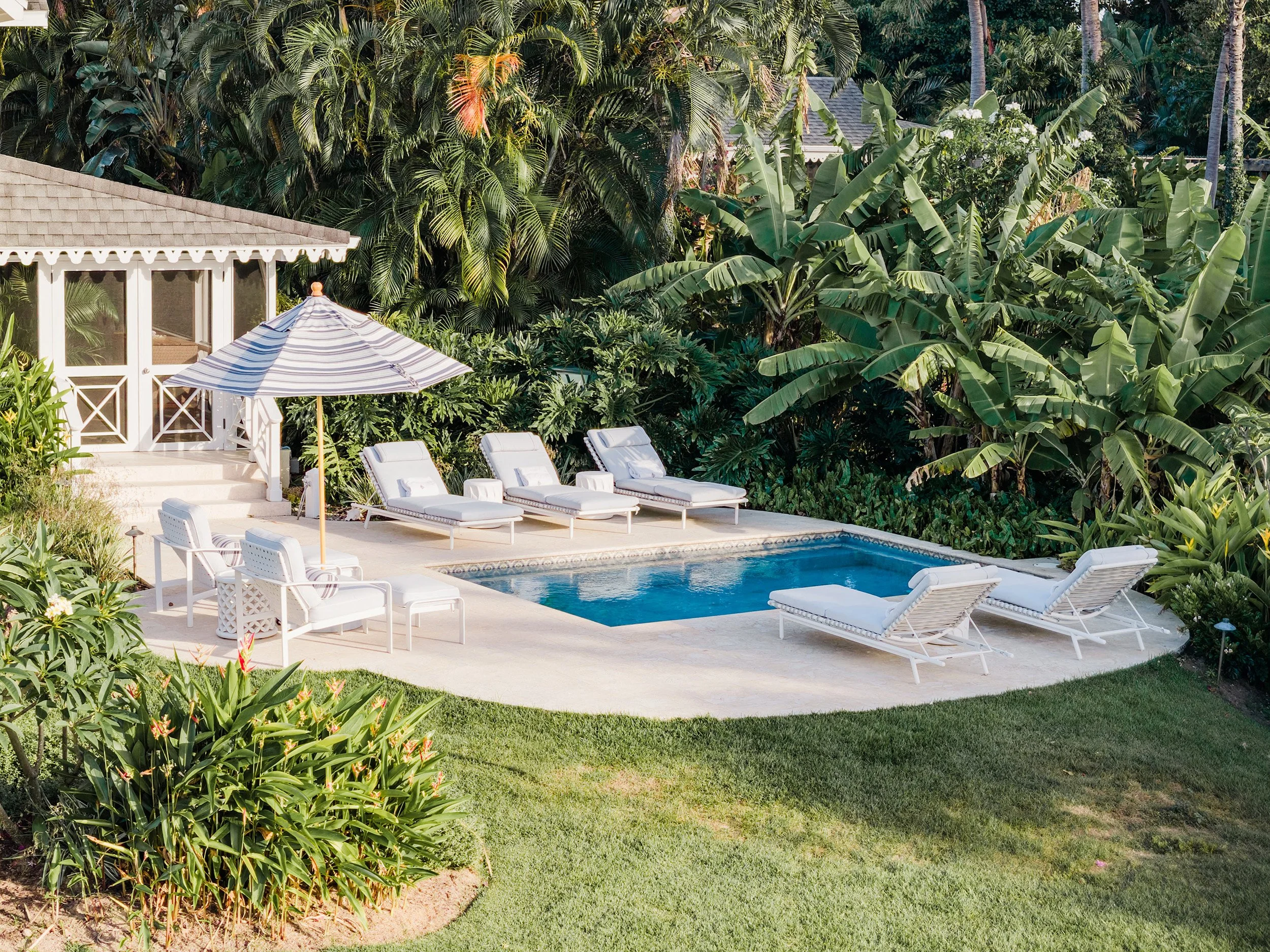A backyard scene with a swimming pool surrounded by white lounge chairs and an umbrella. The area is lush with green plants, bushes, and tall banana trees, with a house or gazebo partly visible among the dense tropical foliage.