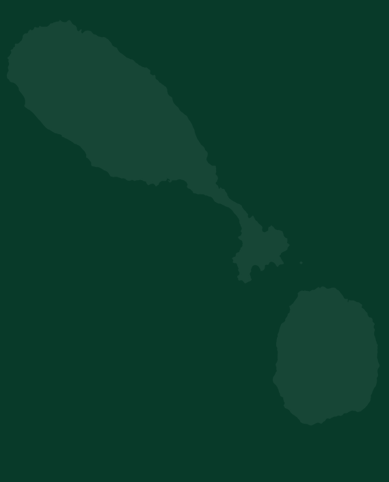 Silhouettes of a large leaf and a round fruit or vegetable on a dark green background.