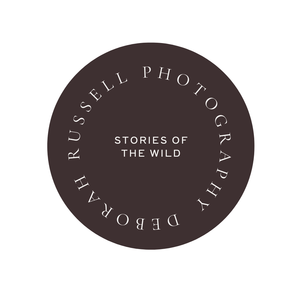 A circular logo with the words "RUSSELL PHOTOGRAPHY DEBORAH" written around the edge, and the words "STORIES OF THE WILD" in the center.
