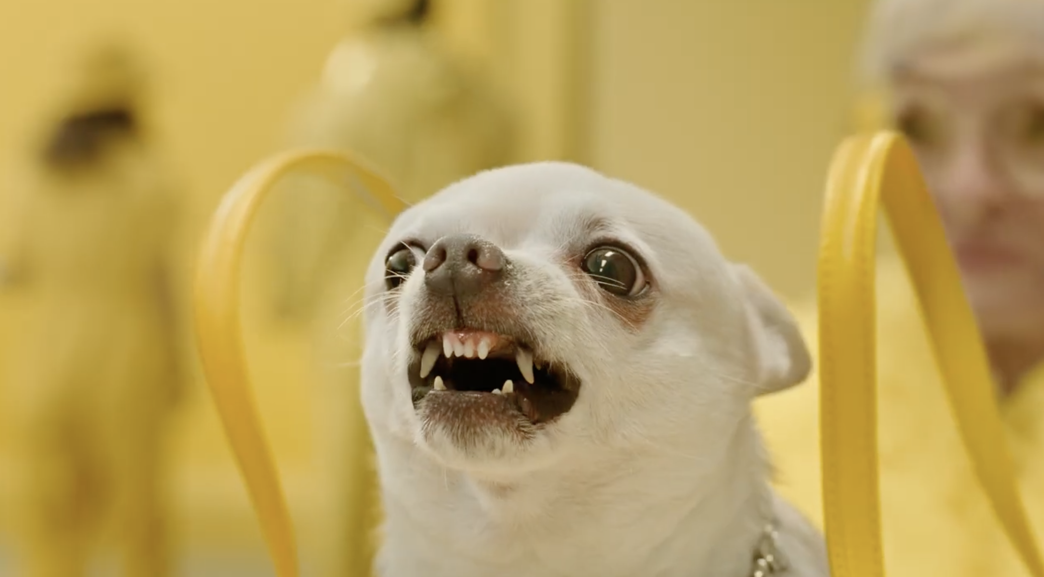 MG Drive the Statement