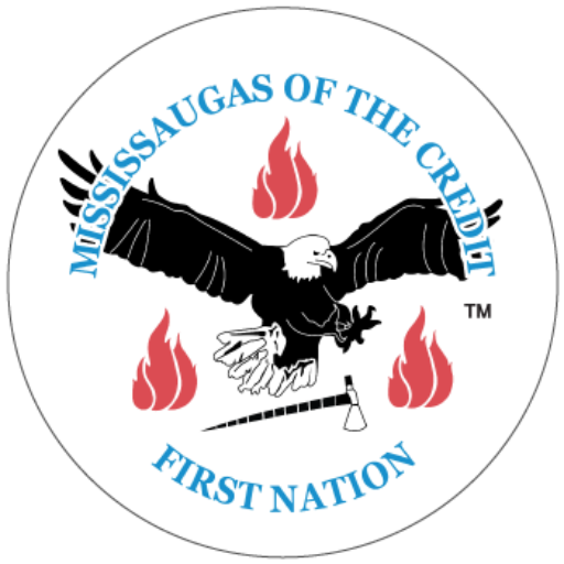 MCFN logo.png