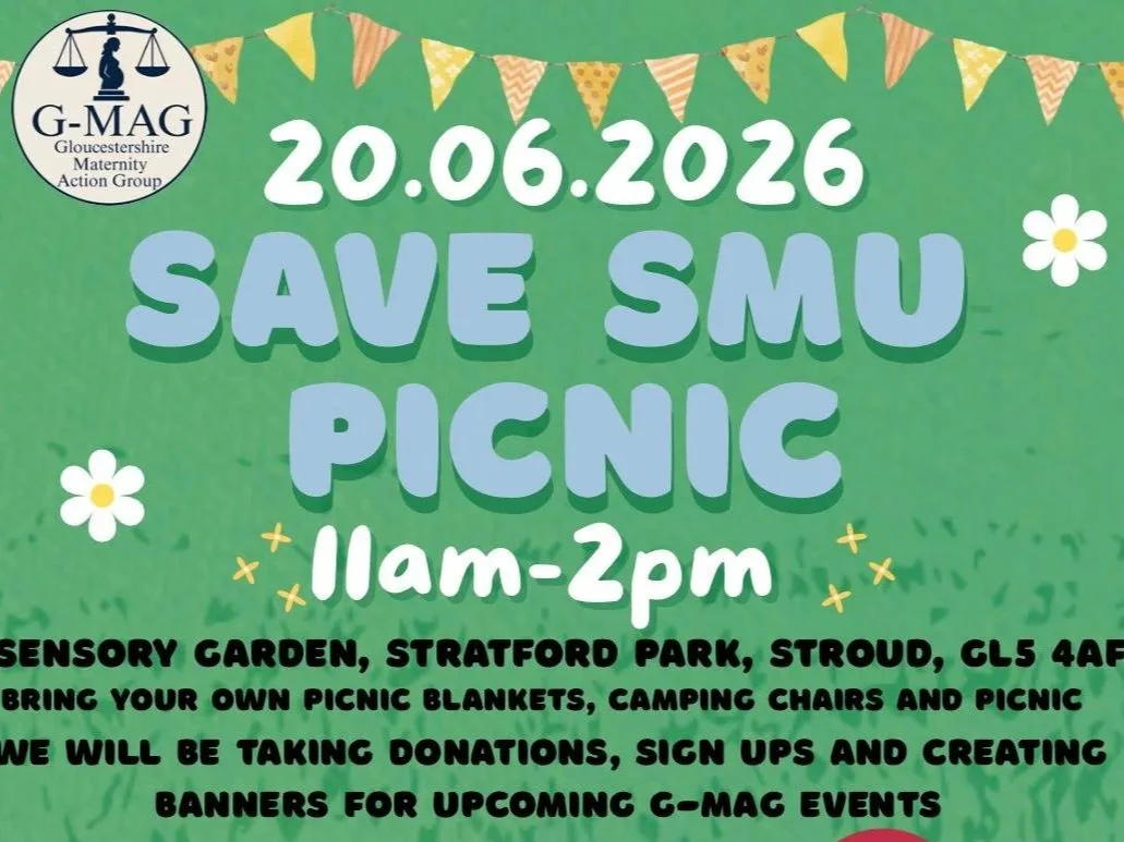 Save Our Services - Picnic