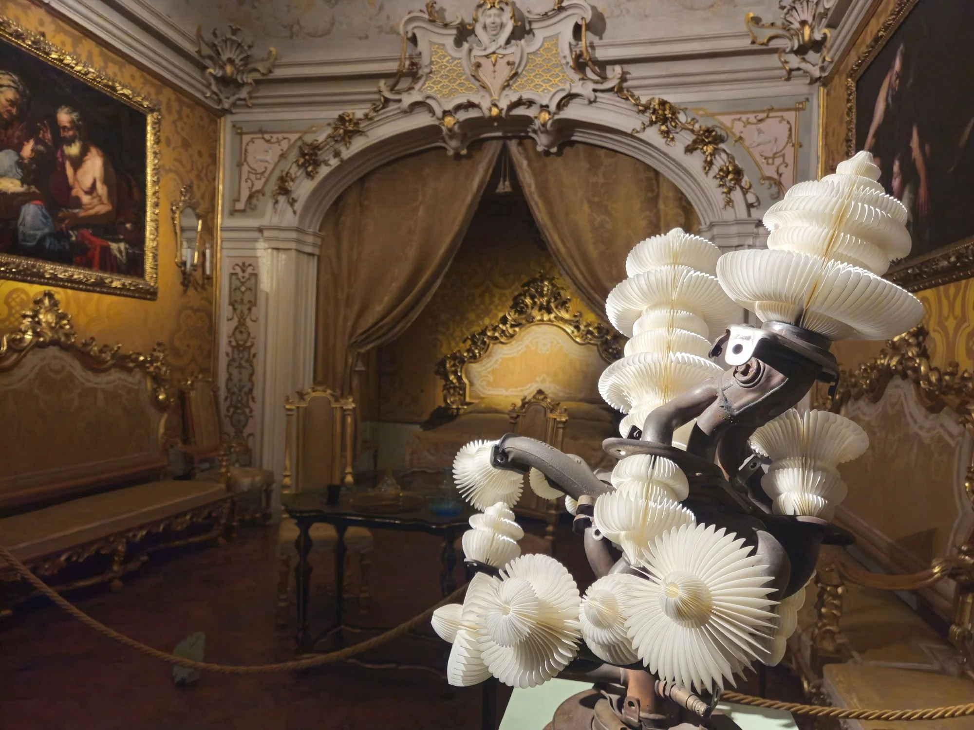 PHOTO-2025-11-14-11-07-03 5.jpg