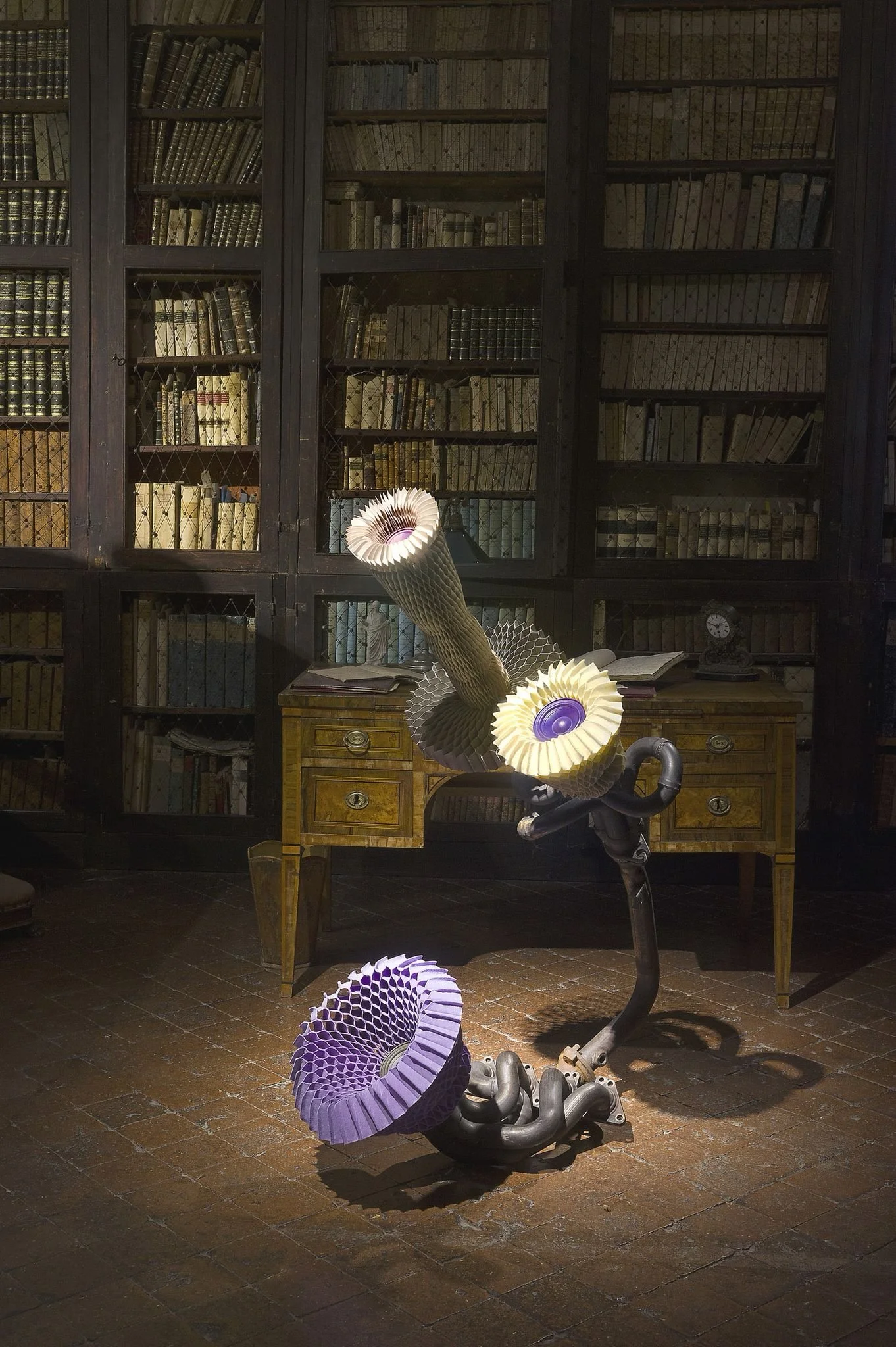 PHOTO-2025-11-14-11-07-03 4.jpg