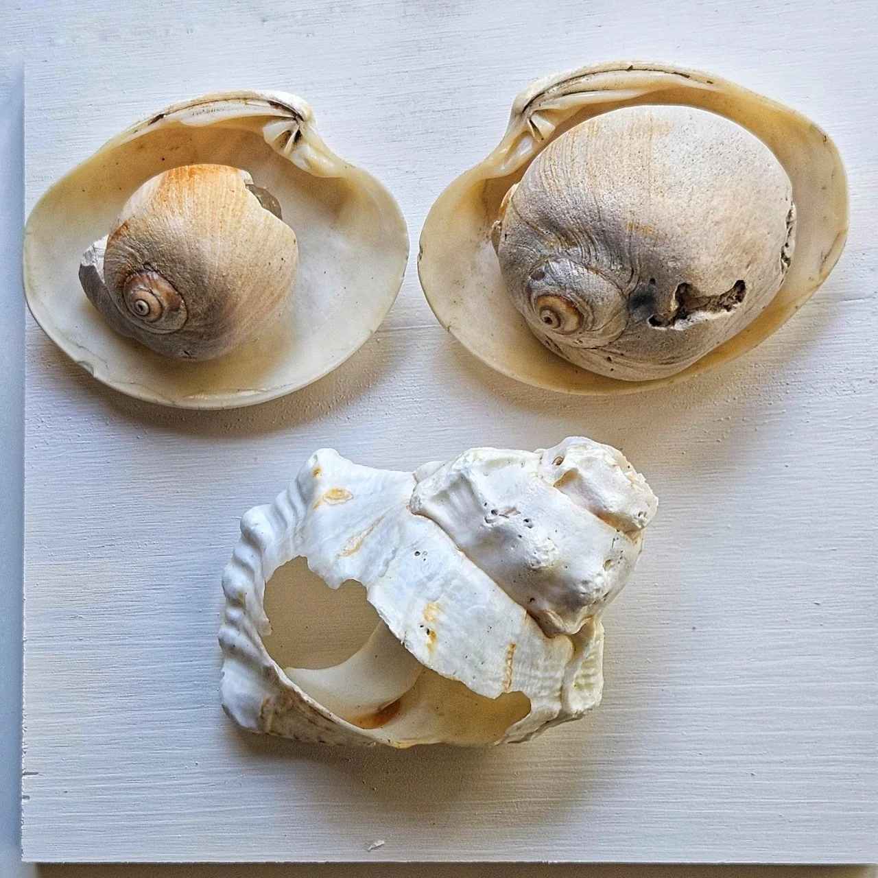 Wabi-Sabi &amp; Wasabi – Art, Crafts, and Reflective Painting 